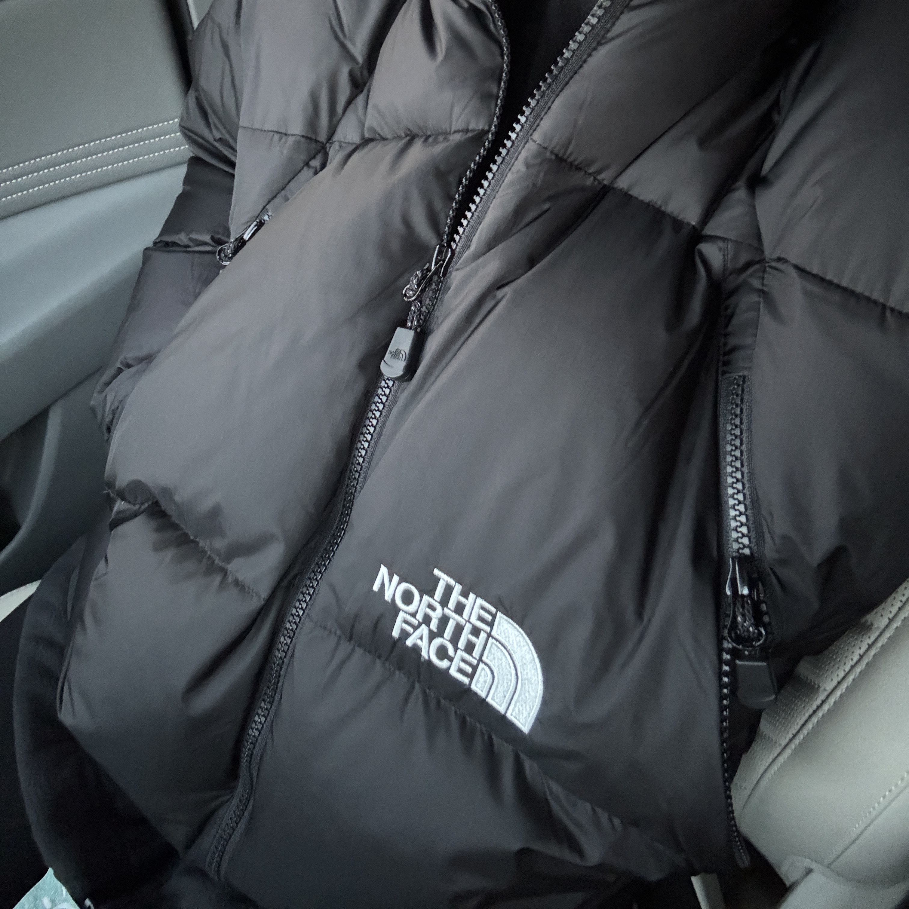 The North Face White Label Project Down Jacket RDS Black - 25FW 착용 스타일