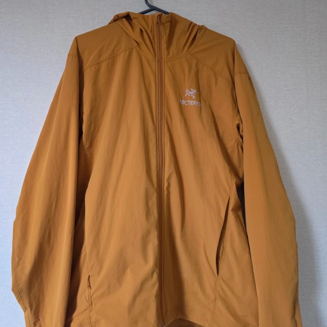 Arc'teryx Gamma SL Hoody Revel 착용 스타일