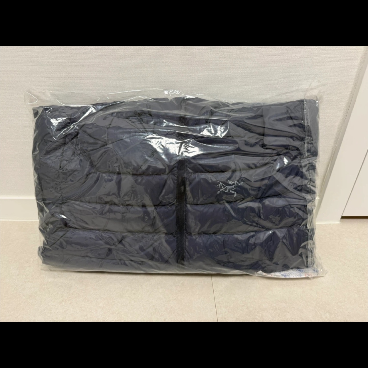 Arc'teryx Cerium Hoody Black Sapphire 착용 스타일