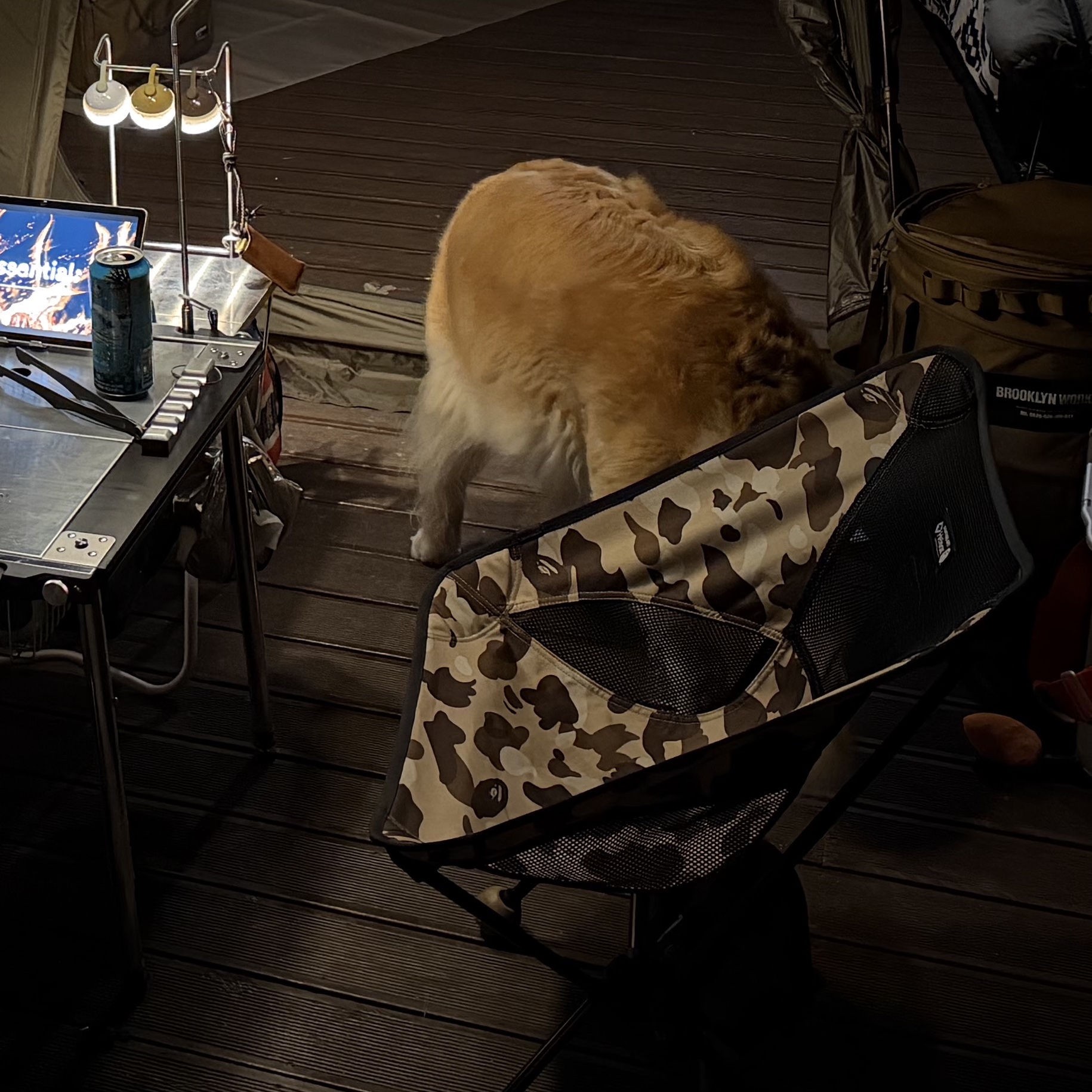 Helinox x BAPE Chair One Bape Camo 착용 스타일