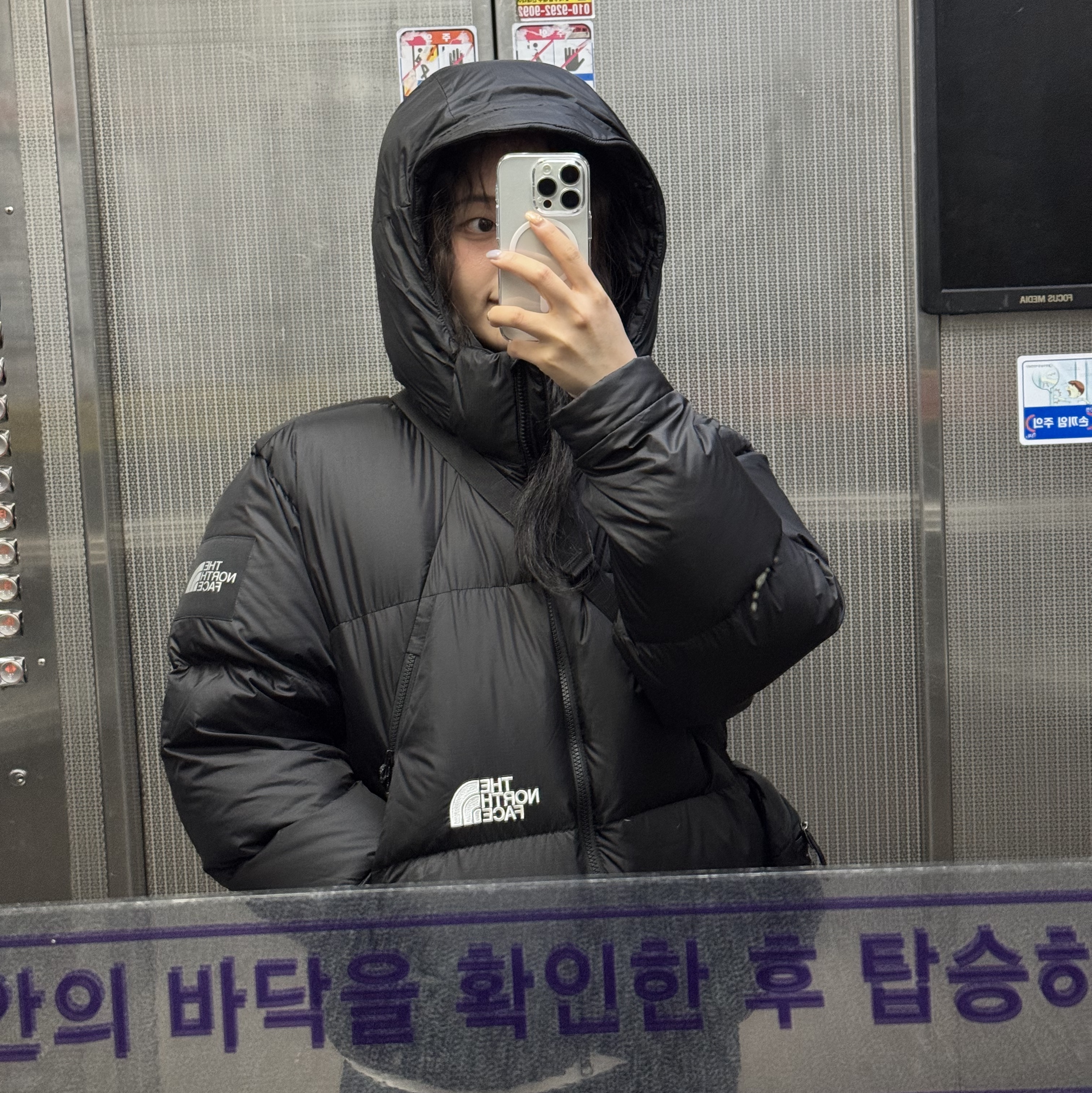 The North Face White Label Project Down Jacket RDS Black - 25FW 착용 스타일