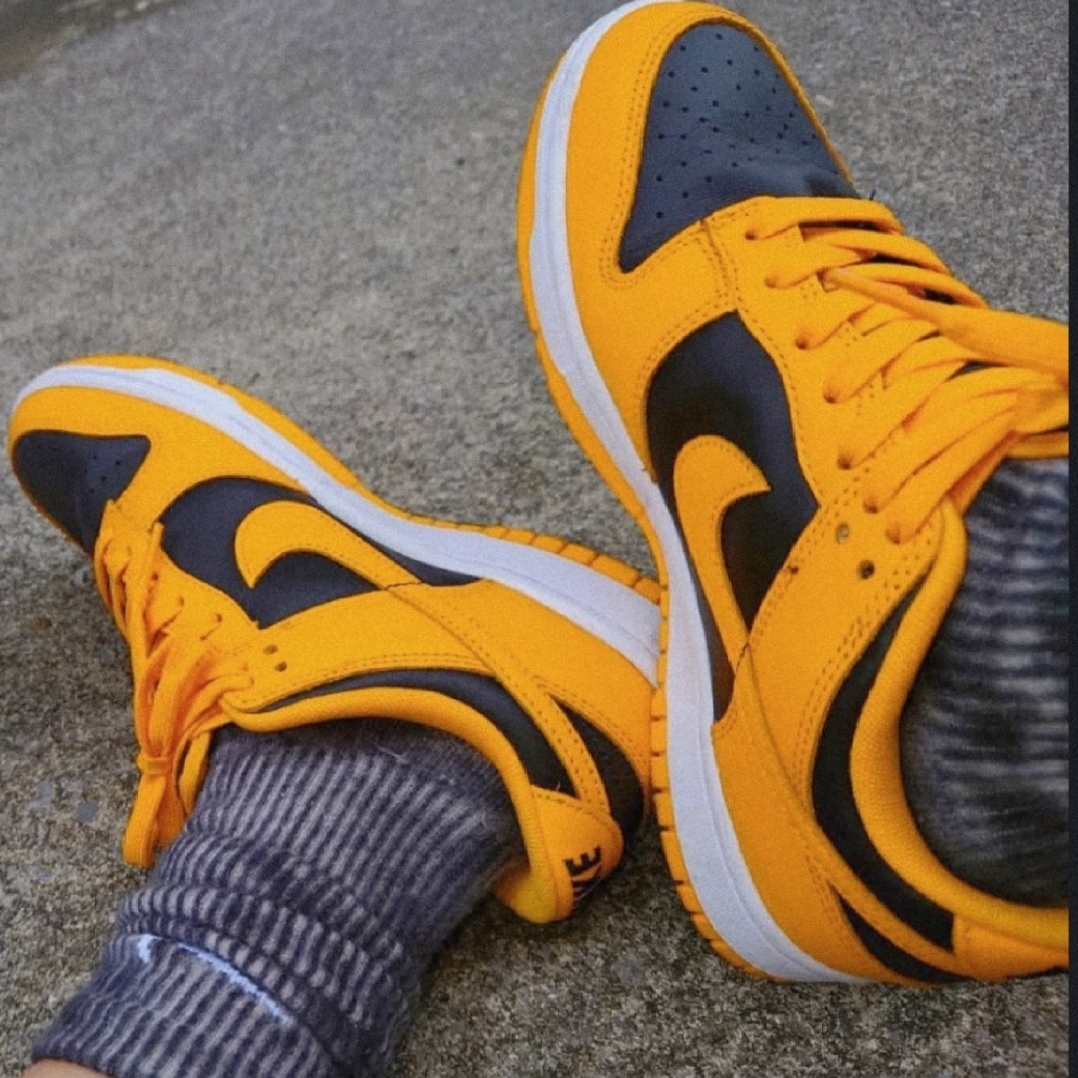 Nike Dunk Low Retro Championship Goldenrod 착용 스타일