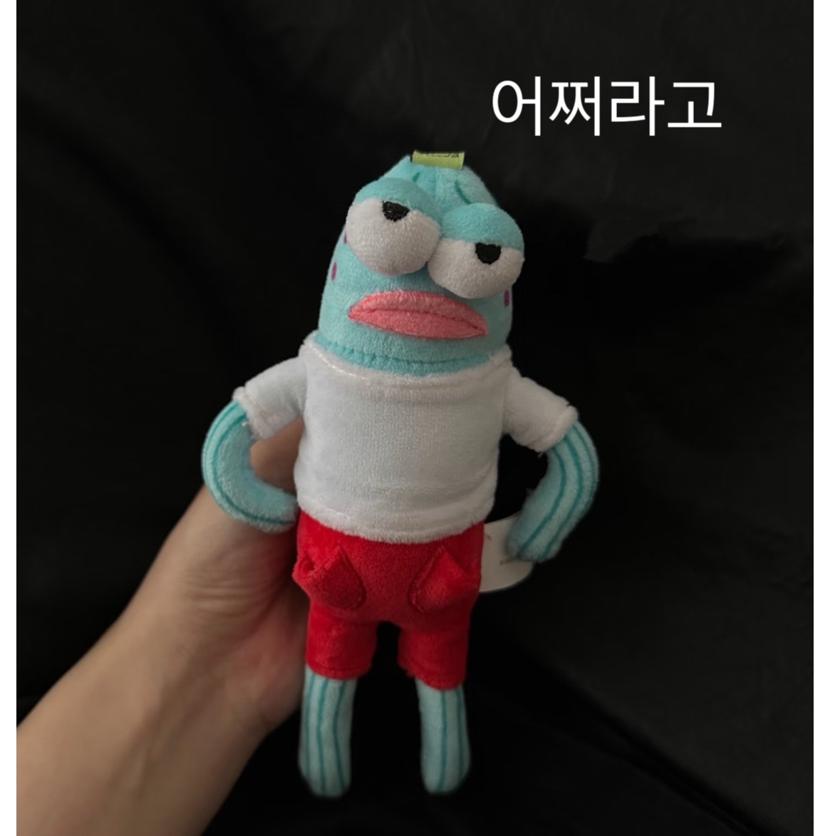 Pop Mart Bikini Bottom Buddies Whimsical Plush Cool Fish (Opened Case) 착용 스타일