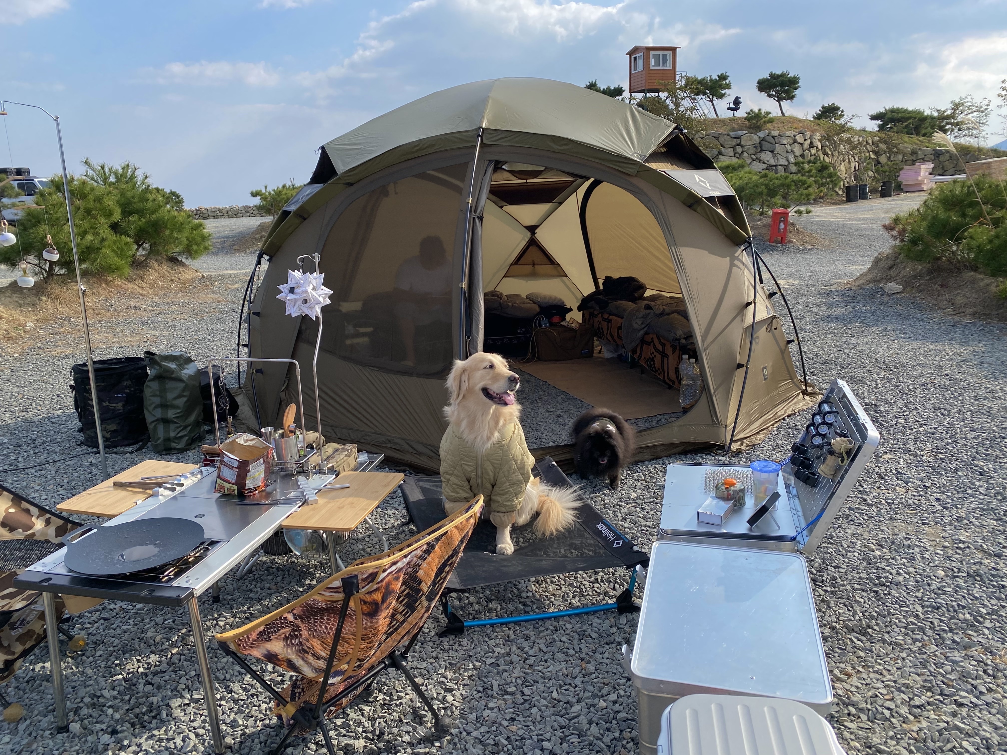 Helinox Tactical Nona Dome 4.0 Roof Coyote Tan 착용 스타일