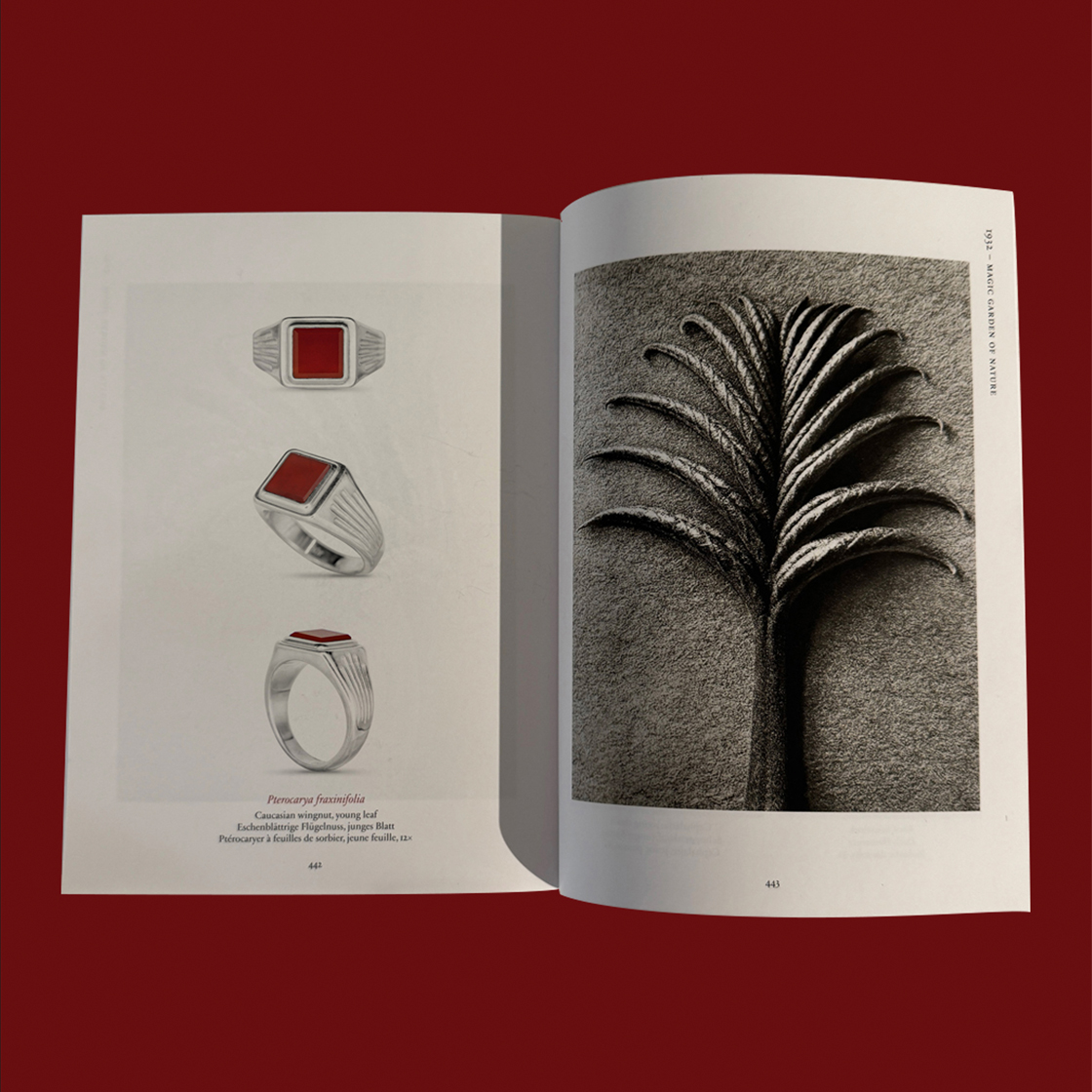 뵤르 윙넛 링_S (아게이트)(Bőr Wingnut Ring_S (agate)) - 5