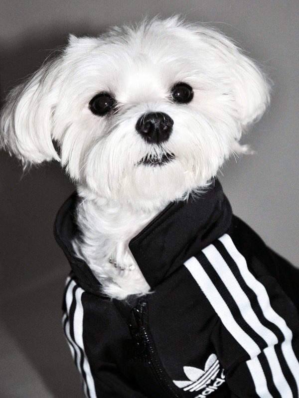 관심 유저 프로필 이미지