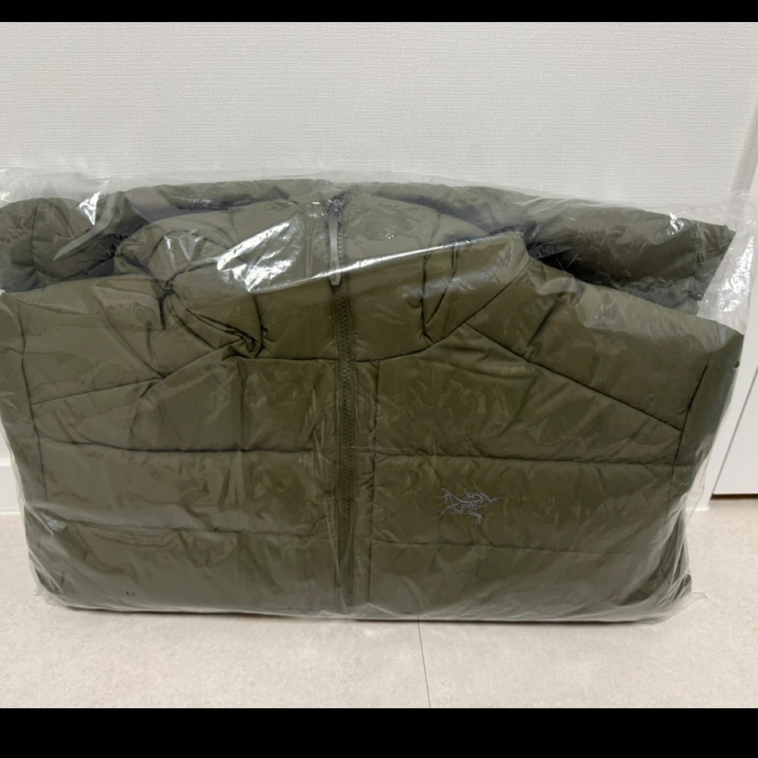 Arc'teryx Thorium Hoody Tatsu 착용 스타일