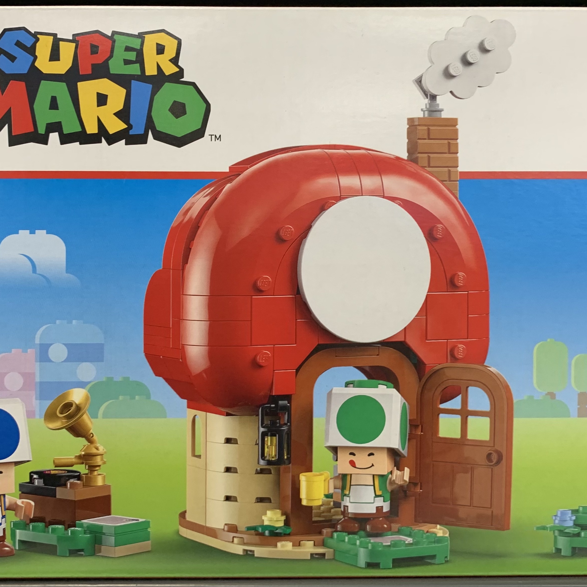 Lego Party at Toad's House 착용 스타일