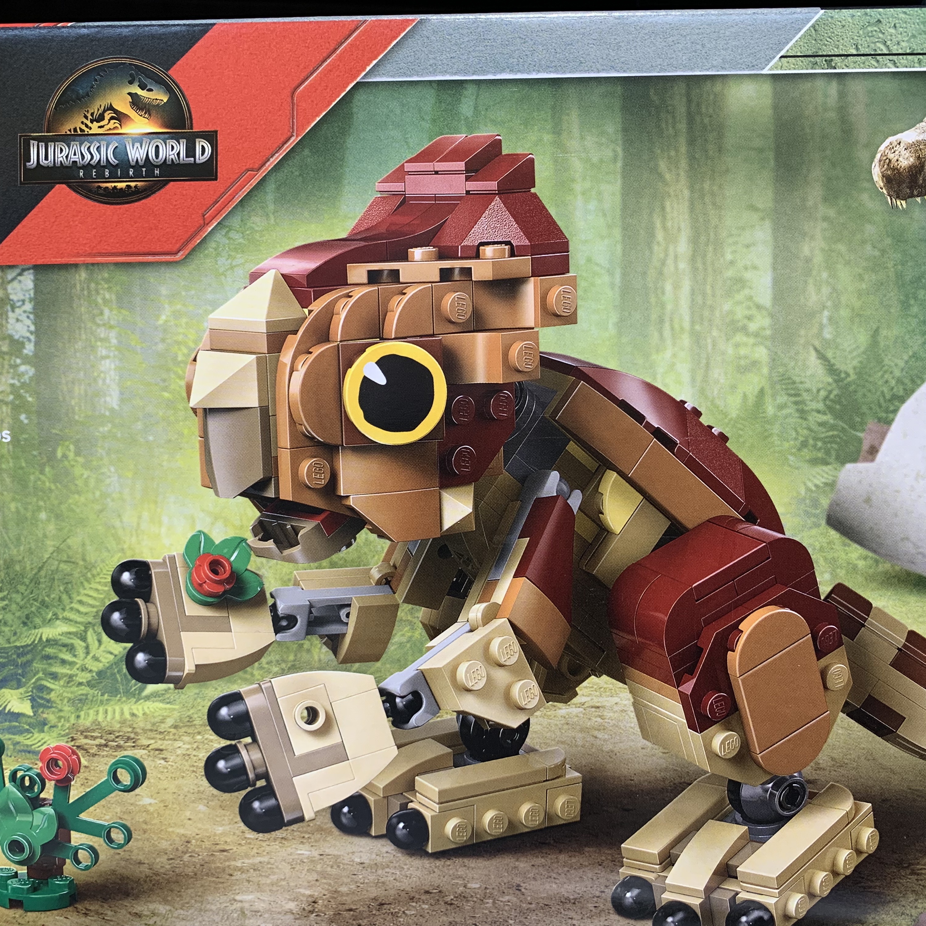 Lego Jurassic World Baby Dinosaur Dolores: Aquilops 착용 스타일
