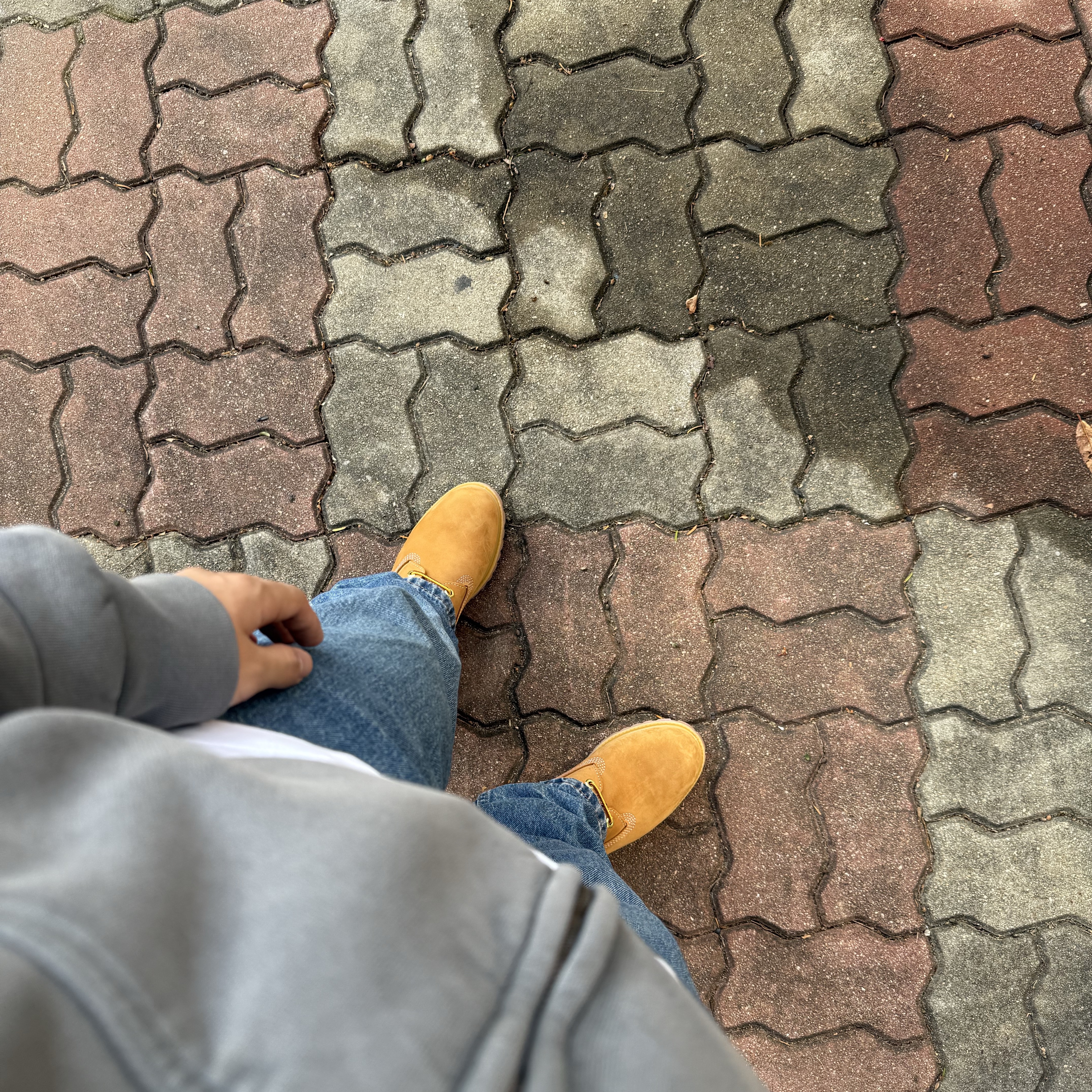Timberland Premium 6 inch Waterproof Boot Wheat Nubuck - Wide 착용 스타일
