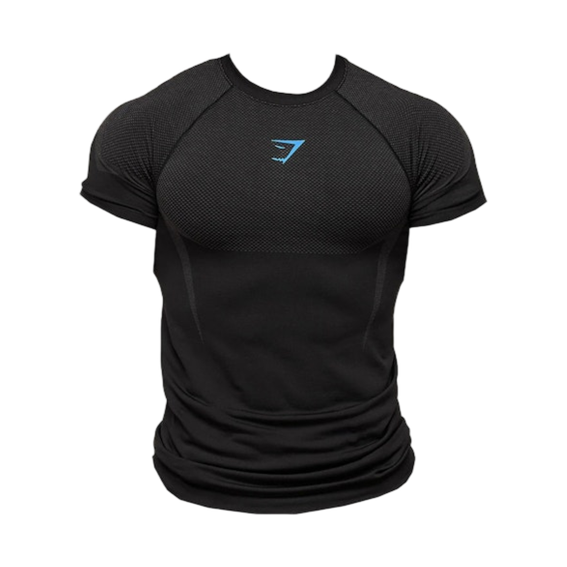 짐샤크 오닉스 5.0 심리스 티셔츠 블랙 오닉스 그레이(Gymshark Onyx 5.0 Seamless T-Shirt Black Onyx Grey)