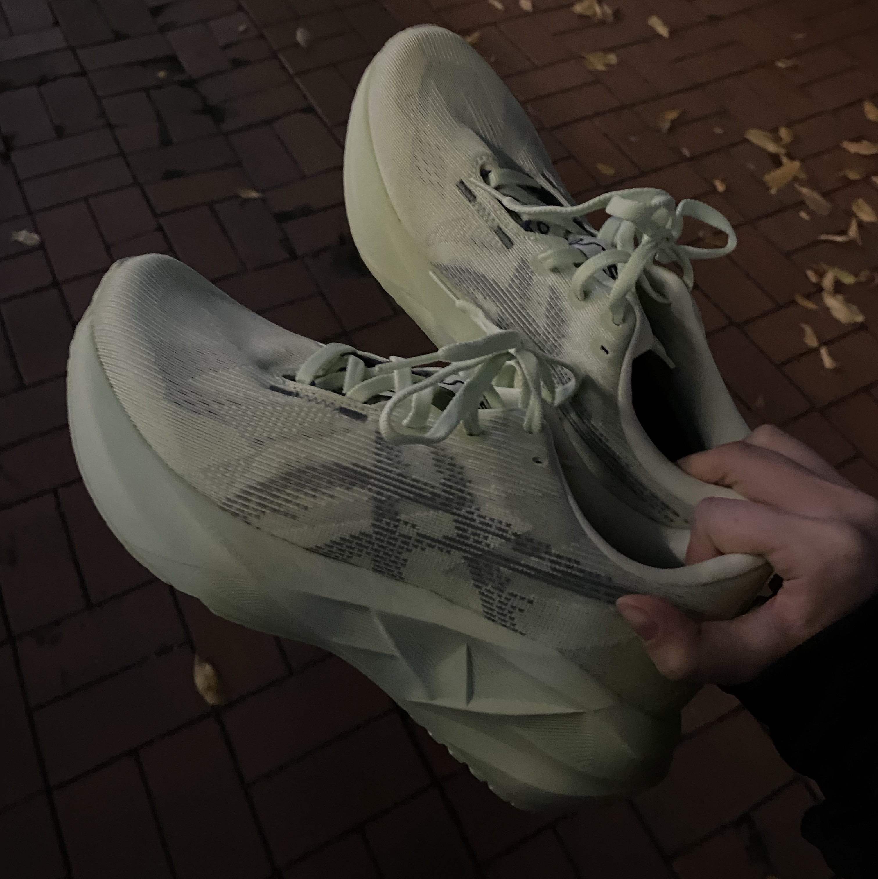 (W) Asics Novablast 5 Whisper Green Monument Blue 착용 스타일