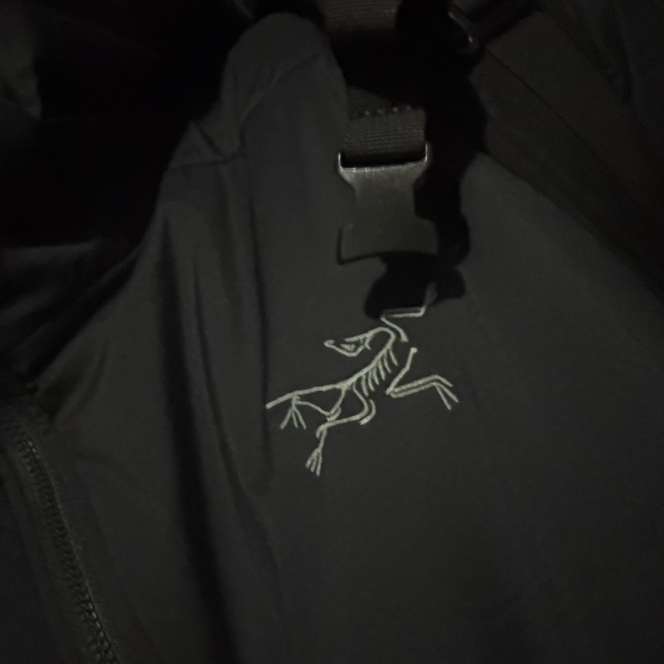 Arc'teryx Atom SV Hoody Black 착용 스타일