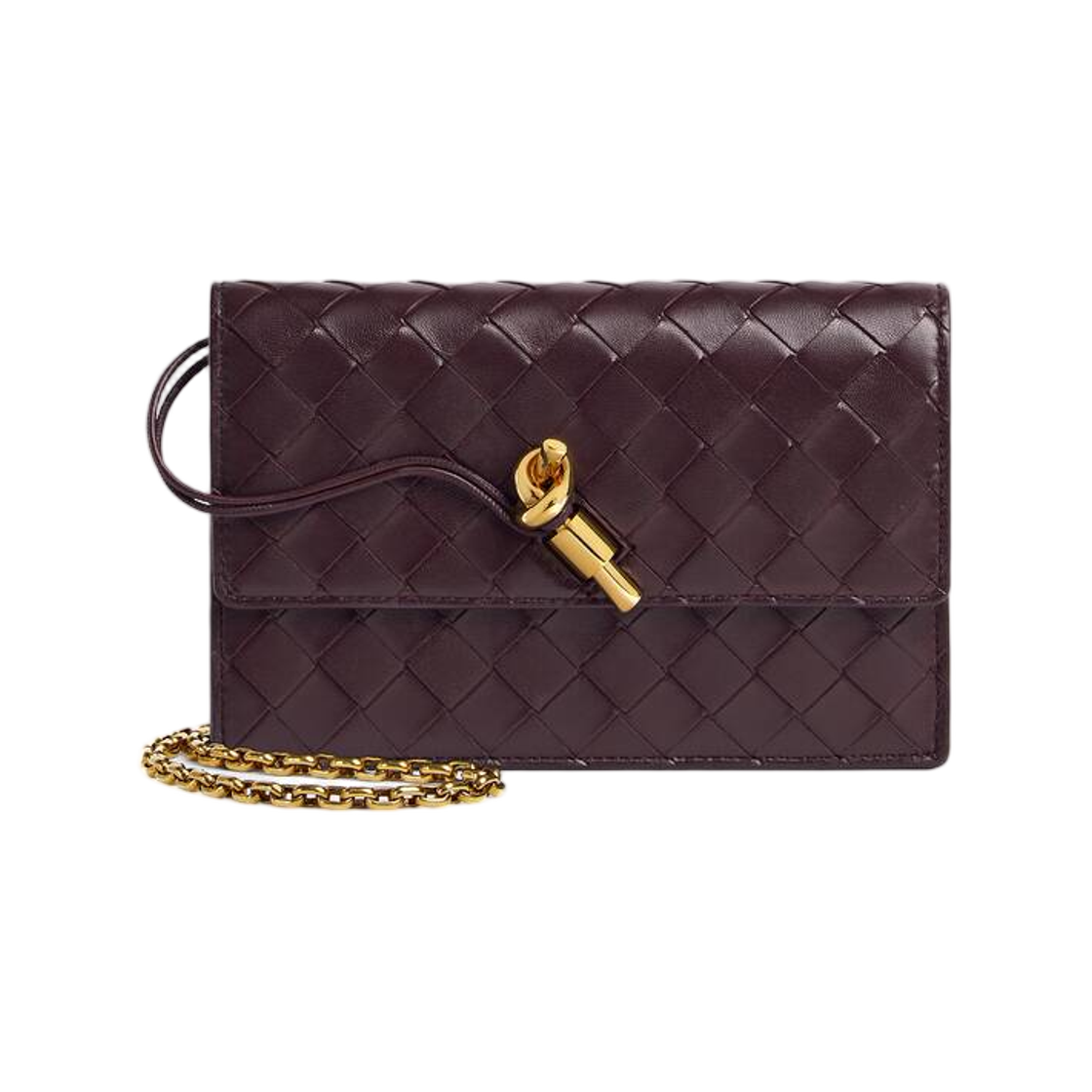 보테가 베네타 안디아모 파우치 온 체인 다크 바롤로(Bottega Veneta Andiamo Pouch on Chain Dark Barolo)