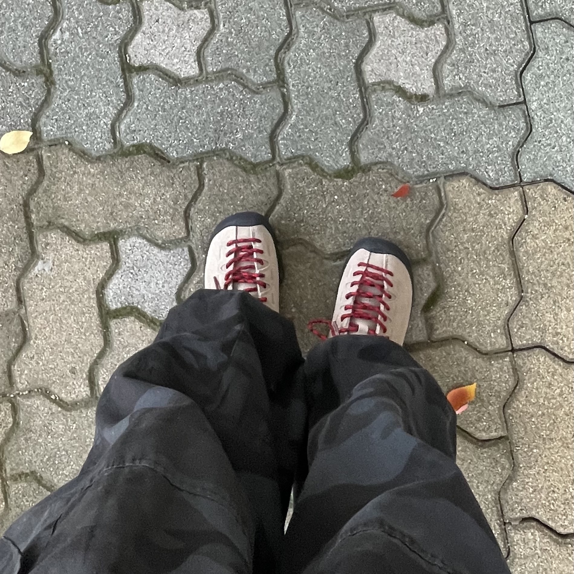 (W) Keen Jasper Suede Sneakers Silver Mink 착용 스타일
