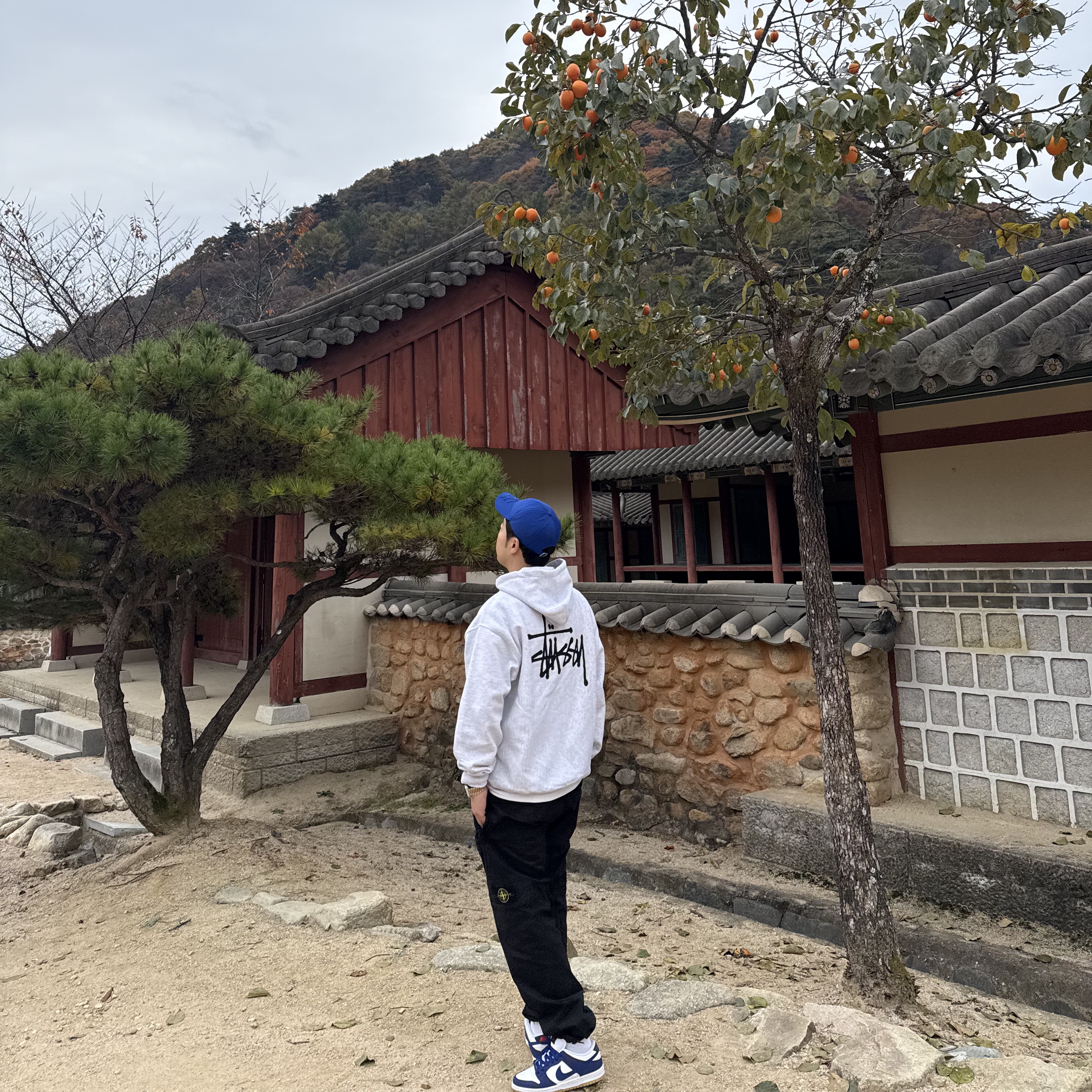 Stussy Basic Stussy Hoodie Ash Heather, Nike SB Dunk Low Pro Premium Deep Royal Blue 착용 스타일