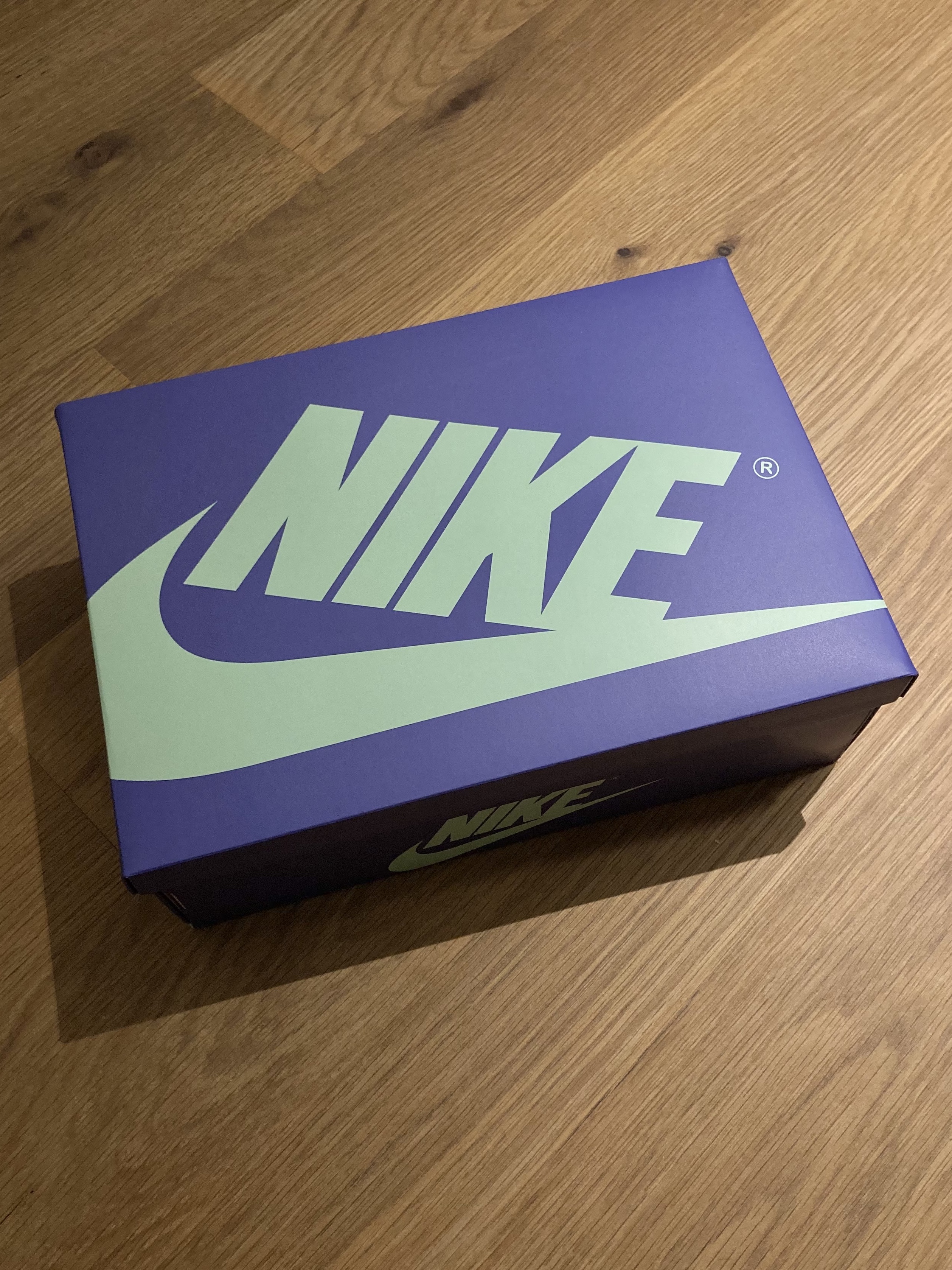 Jordan 1 x Zion Williamson Retro Low OG Regency Purple and Dark Raisin 착용 스타일 - 6