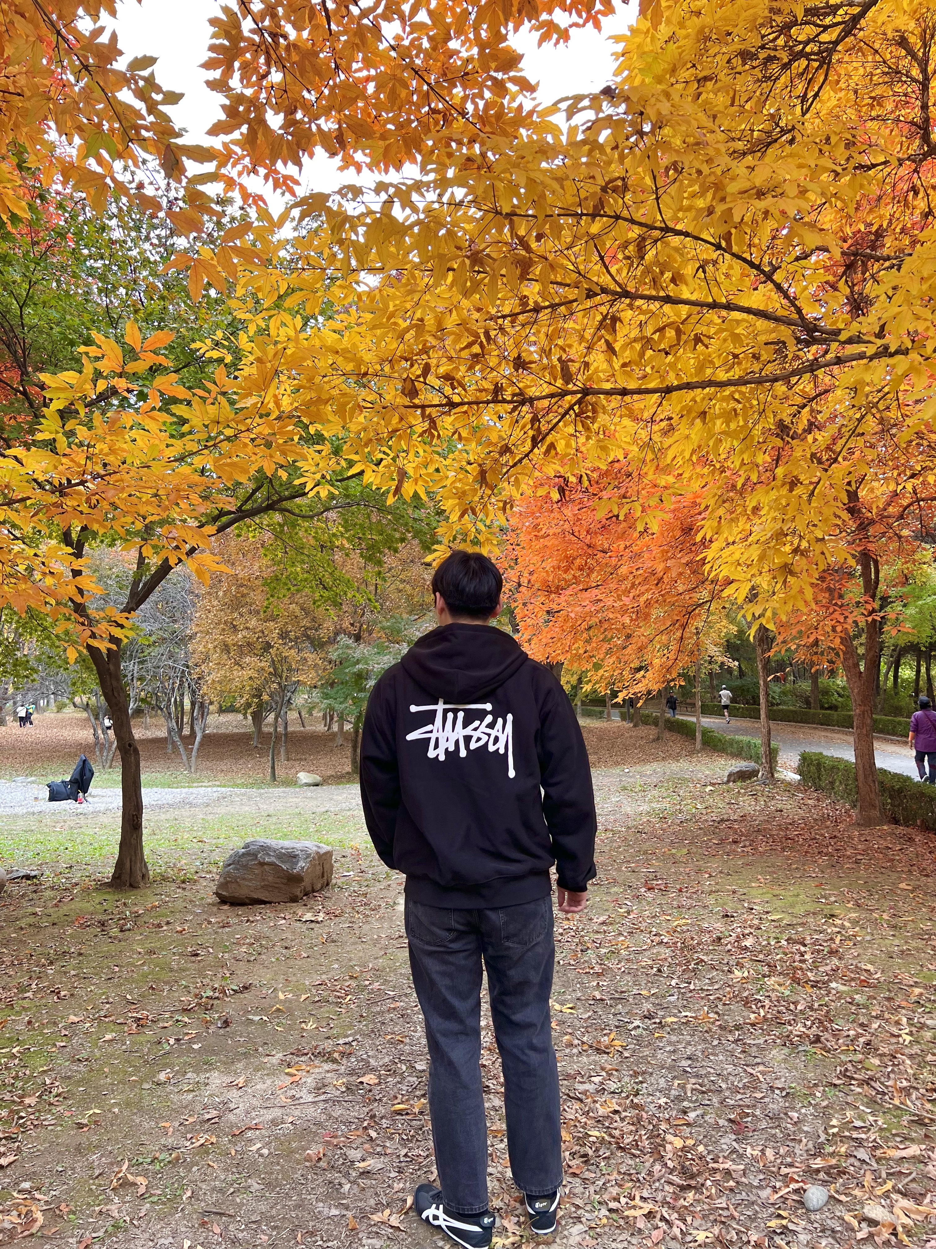 Stussy Basic Zip Hoodie Black, Onitsuka Tiger Mexico 66 Black White 착용 스타일