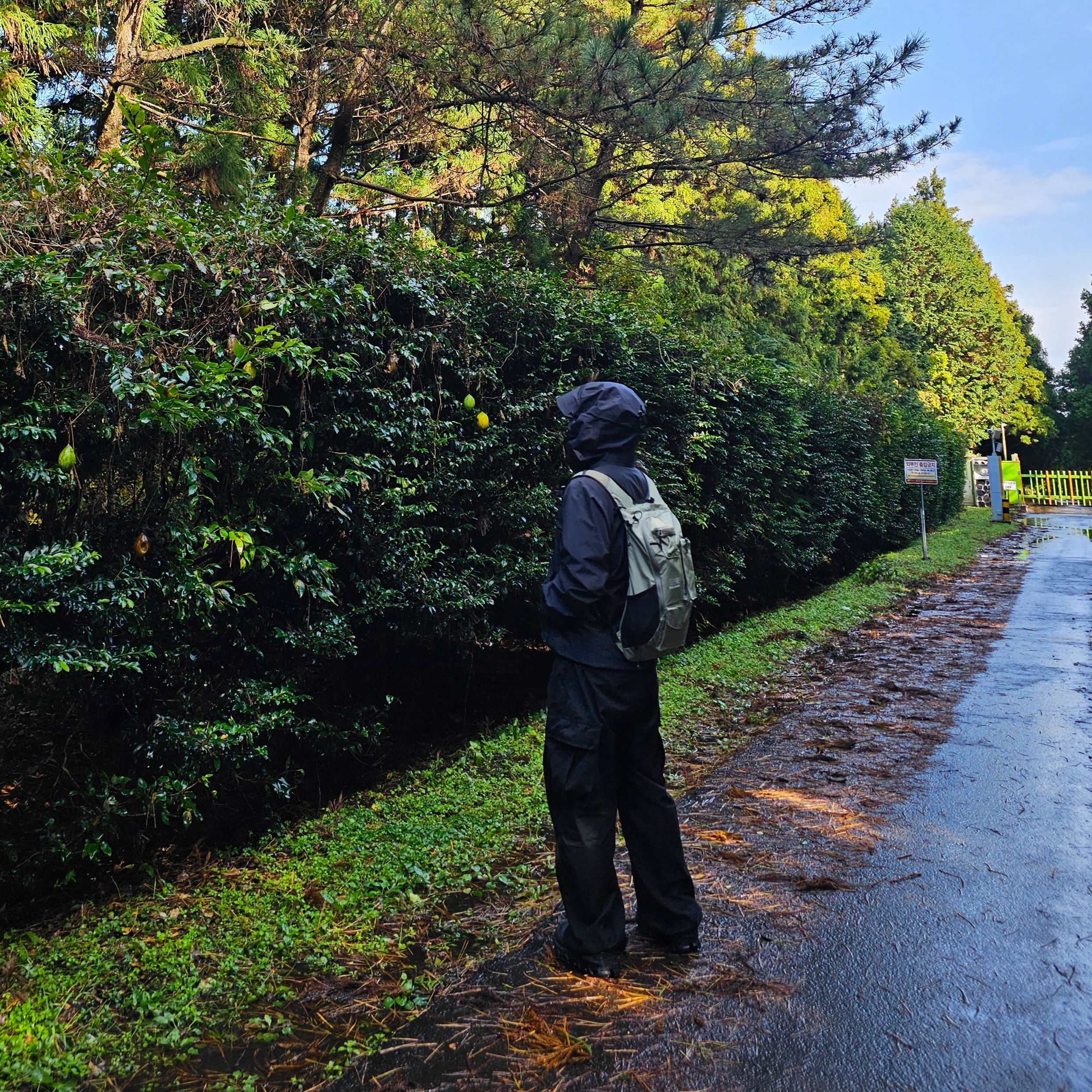 Salomon x MM6 Maison Margiela Daypack 20 Deep Lichen Green, On Running x Post Archive Faction (Paf) Cloudmonster 2 Black Magnet 착용 스타일 - 2