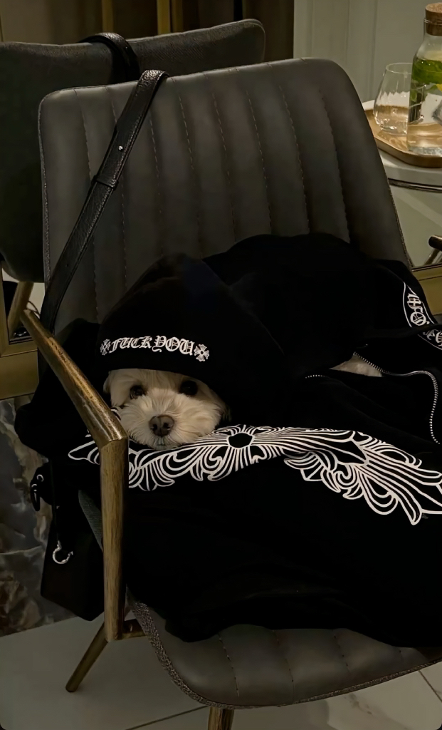 KREAM 프로필 이미지