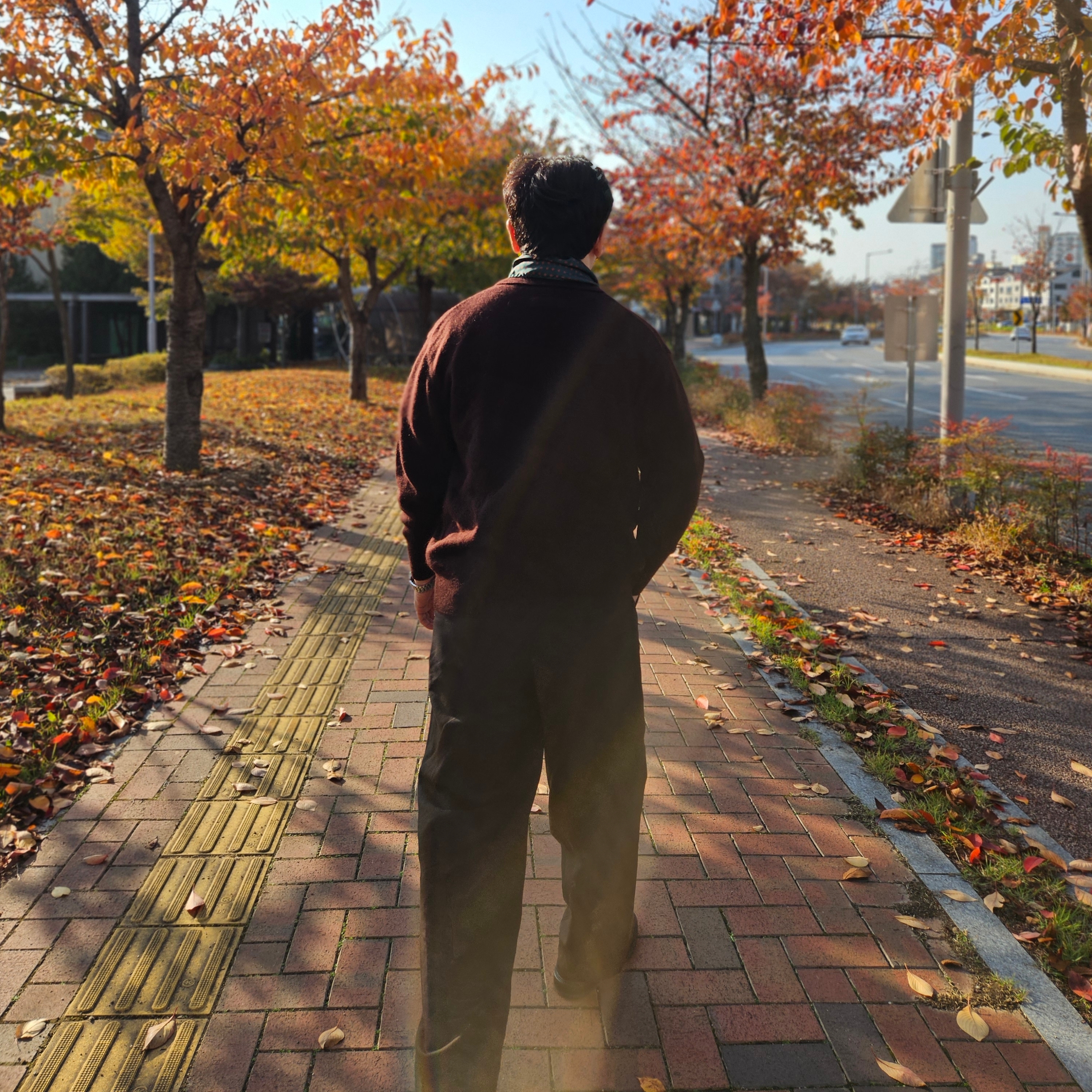 ssstein Fine Alpaca Knit Collared Cardigan Dark Brown - 24FW, Alden 9901 Cordovan Plain Toe Blucher Oxford Black - D 착용 스타일 - 2