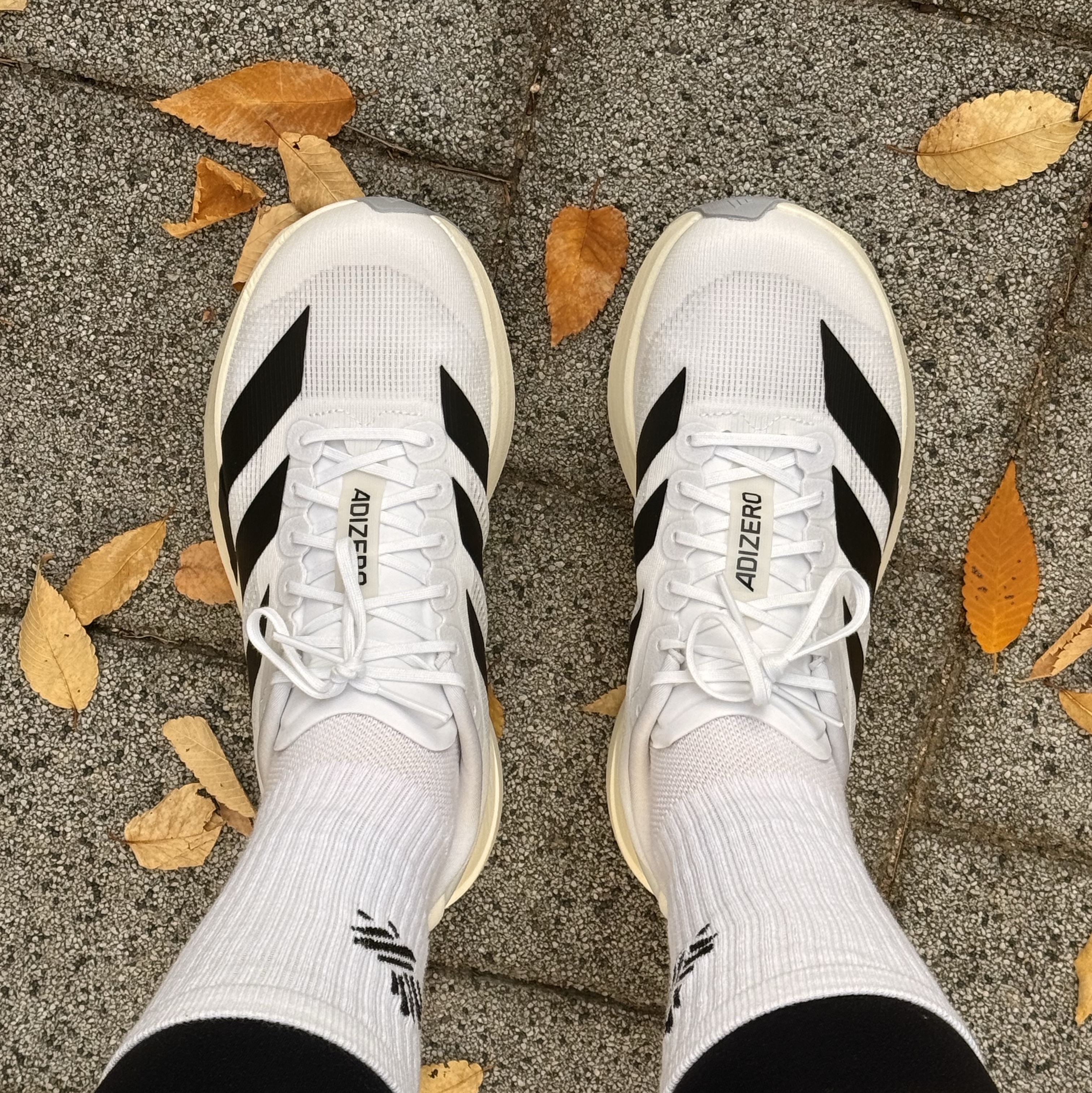 (W) Adidas Adizero EVO SL Cloud White Core Black 착용 스타일 - 1