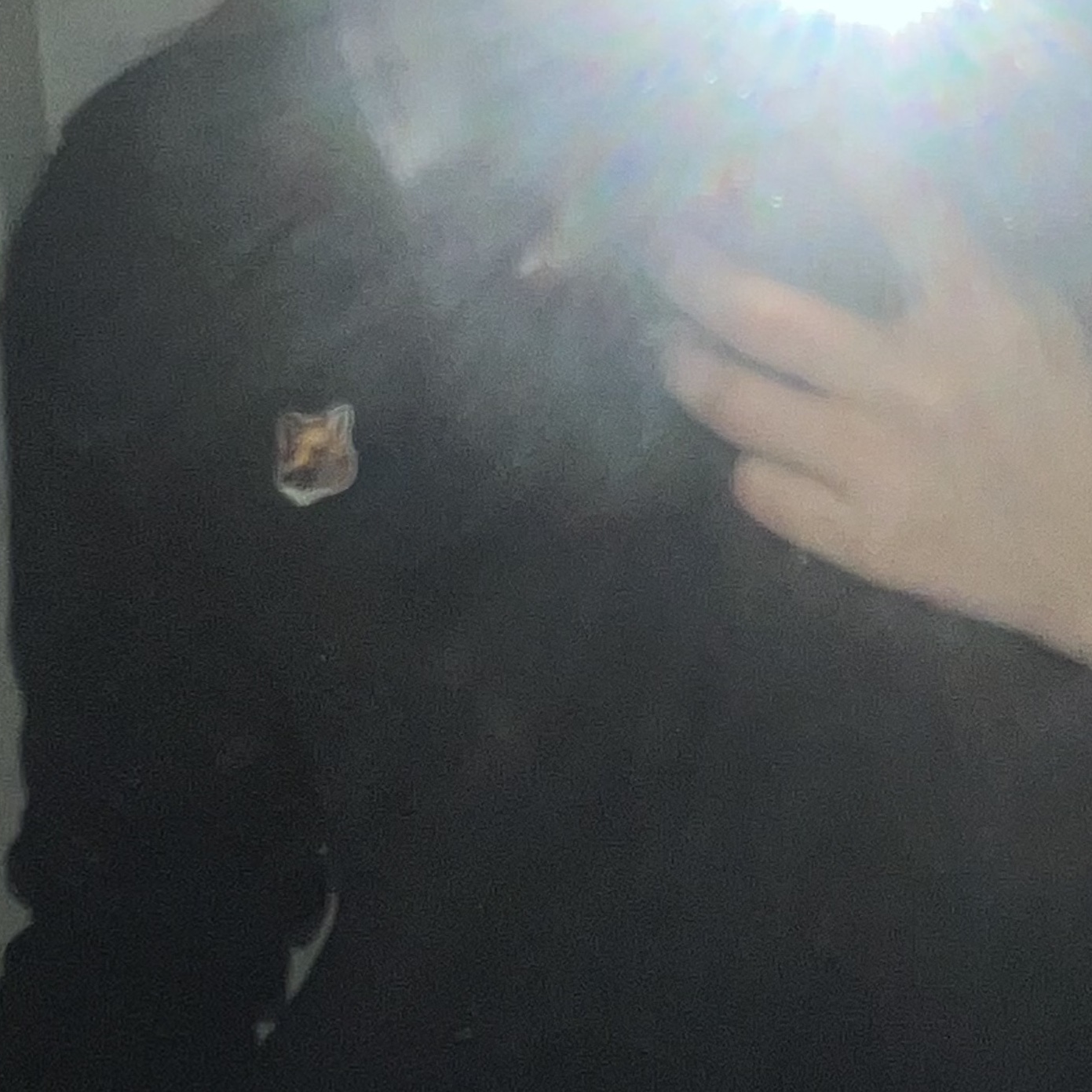 Maison Kitsune Fox Head Patch Regular Sweatshirt Black 착용 스타일