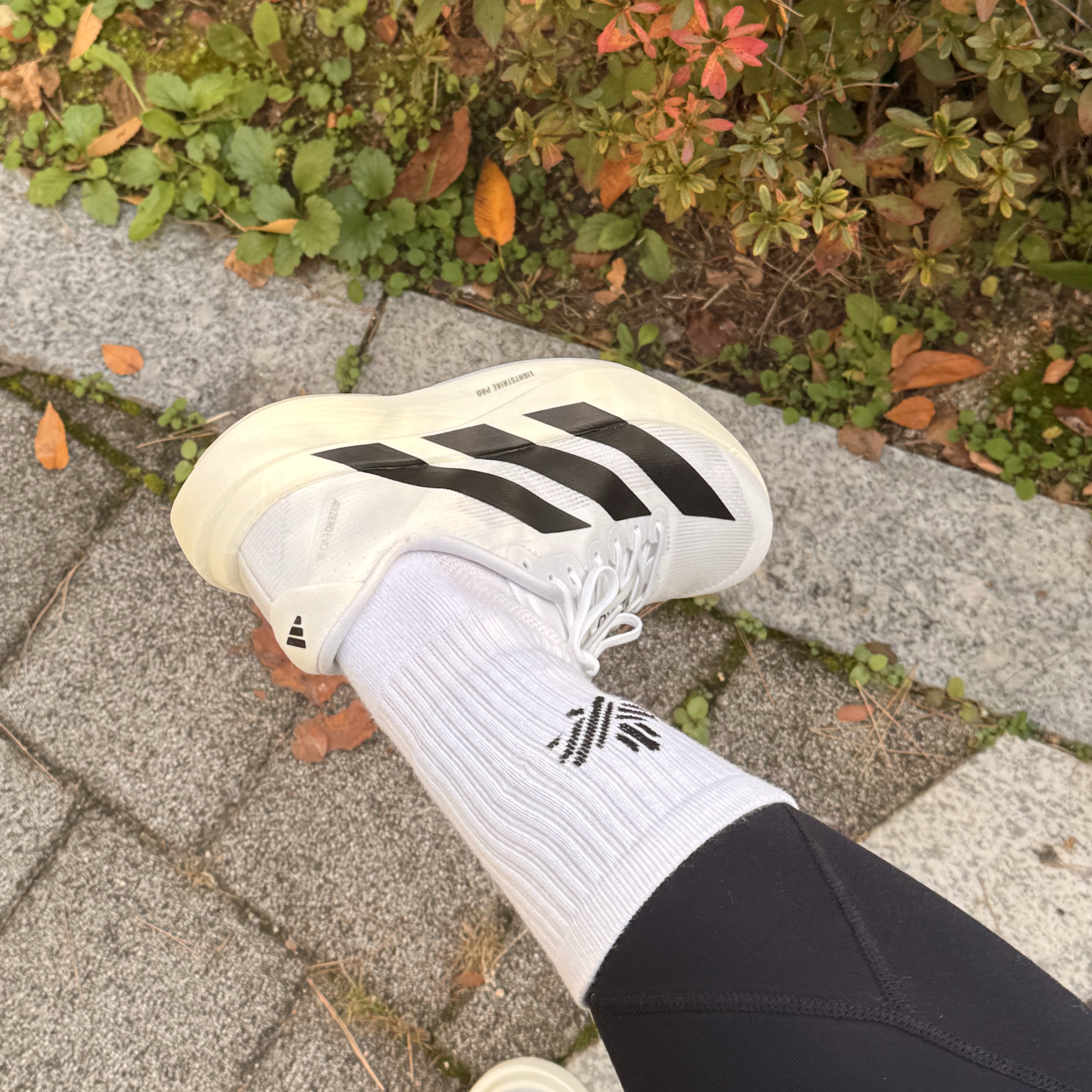 (W) Adidas Adizero EVO SL Cloud White Core Black 착용 스타일 - 3
