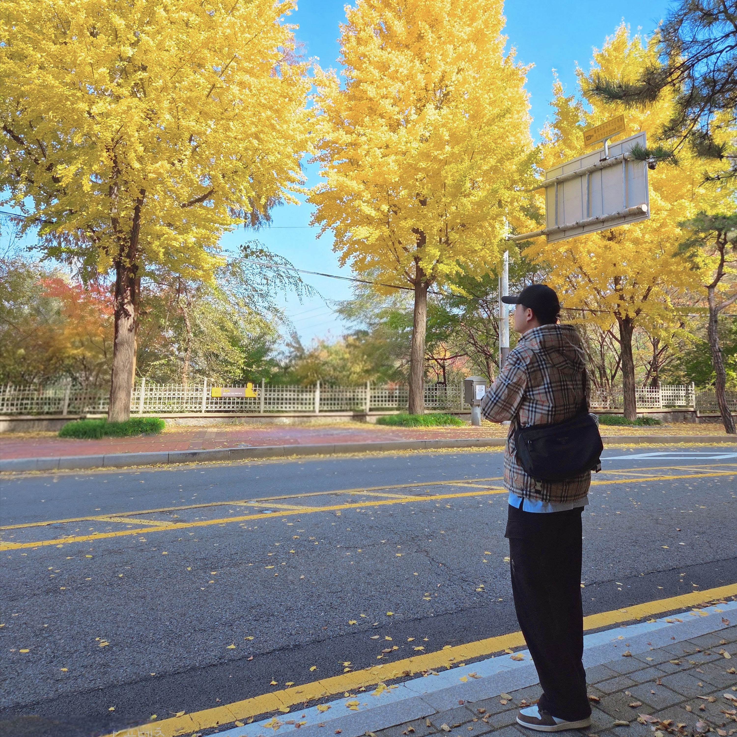 ์์
์ด๋ฏธ์ง