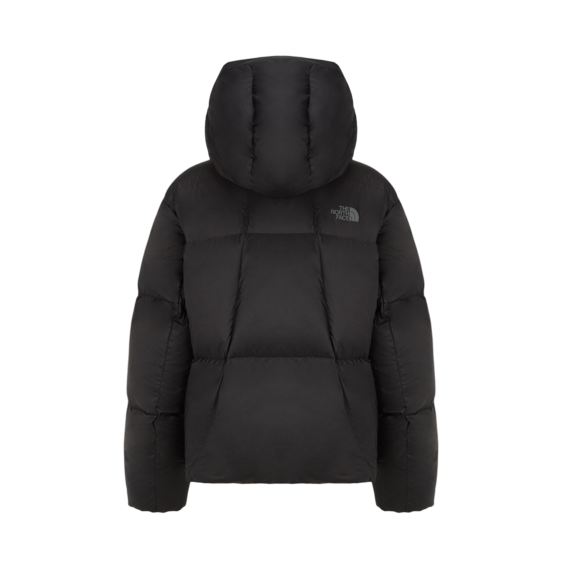 (W) 노스페이스 스카이 다운 자켓 RDS 블랙 - 25FW((W) The North Face Skye Down Jacket RDS Black - 25FW) - 2