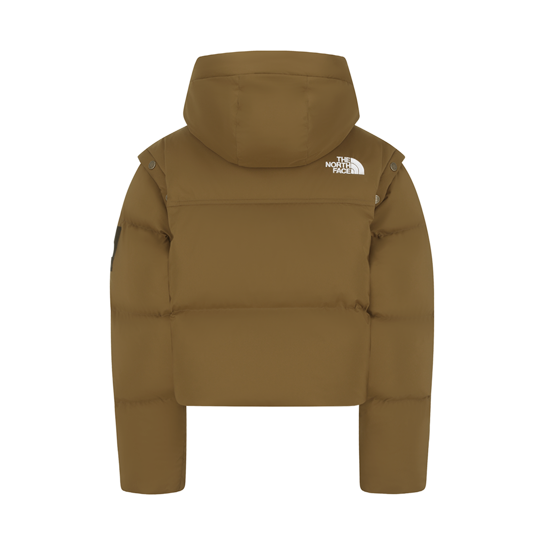 (W) 노스페이스 노벨티 리얼 DT 자켓 RDS 카멜 - 25FW((W) The North Face Novelty Nuptse DT Jacket RDS Camel - 25FW) - 2