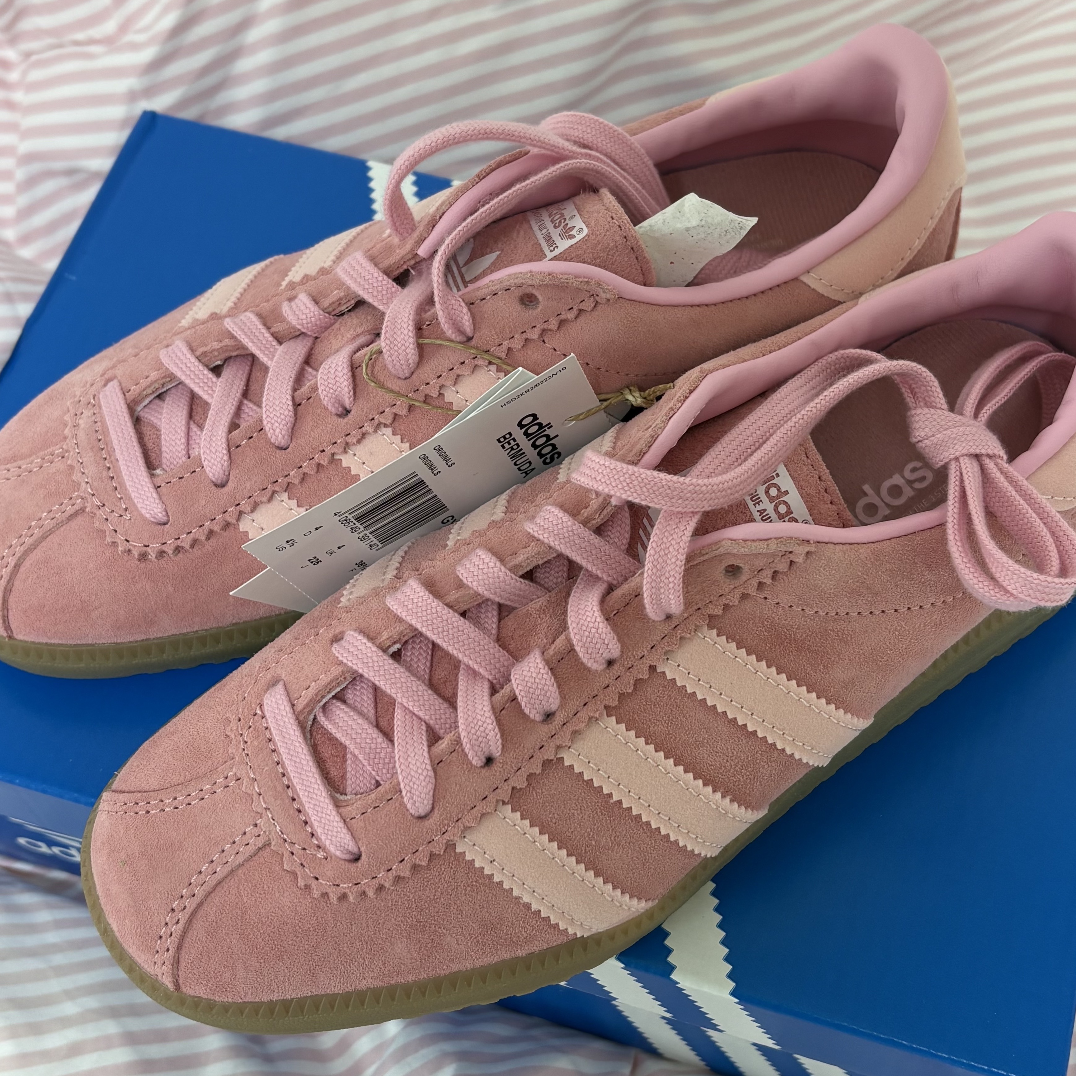 ์์
์ด๋ฏธ์ง