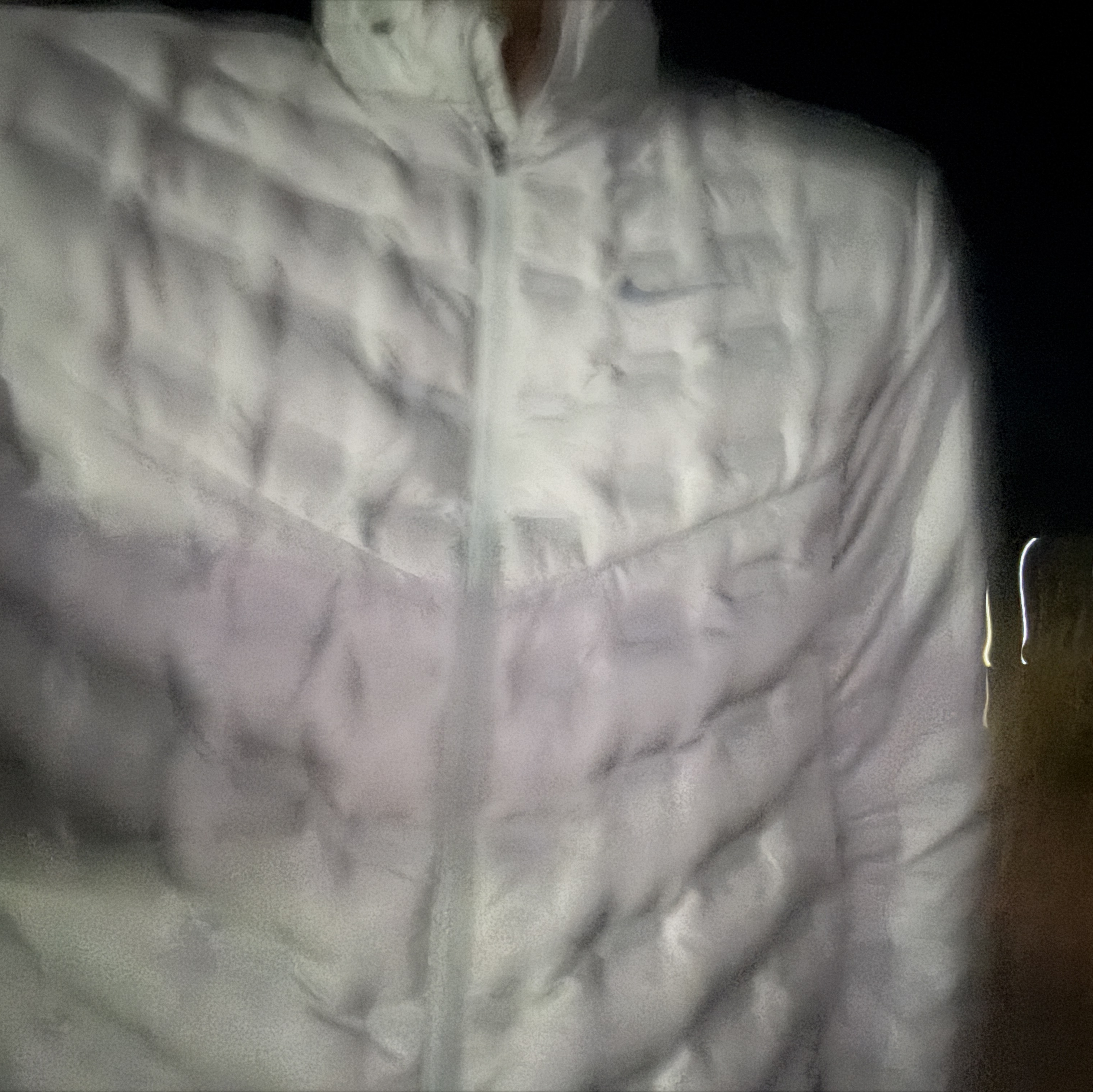 Nike Therma-Fit ADV Aeroloft Repel Down Running Jacket Jade Horizon - Asia 착용 스타일