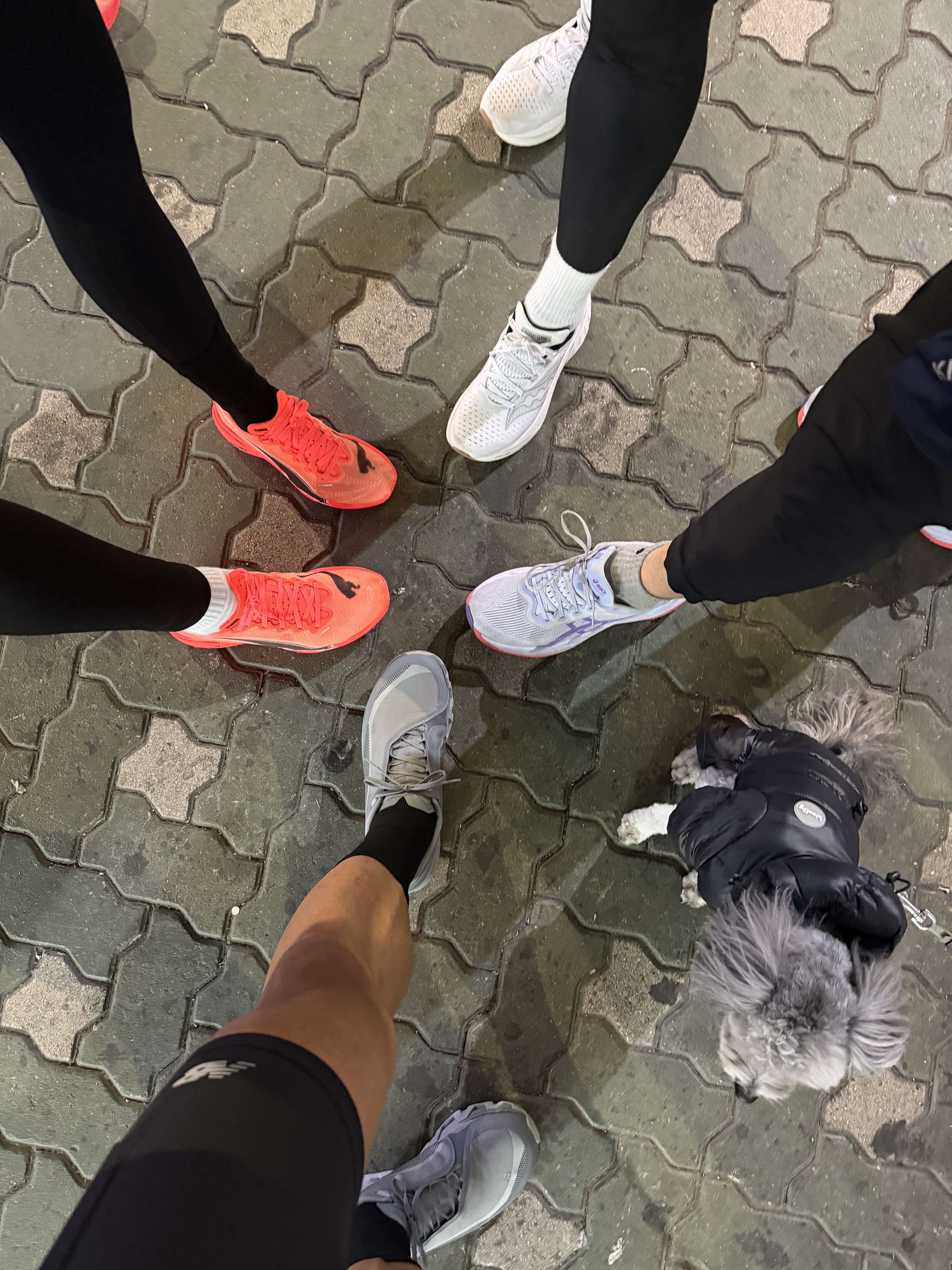 On Running x Post Archive Faction (Paf) Cloudmonster Hyper Phantom Apollo, Puma Deviate Nitro Elite 3 Glowing Red Black 착용 스타일