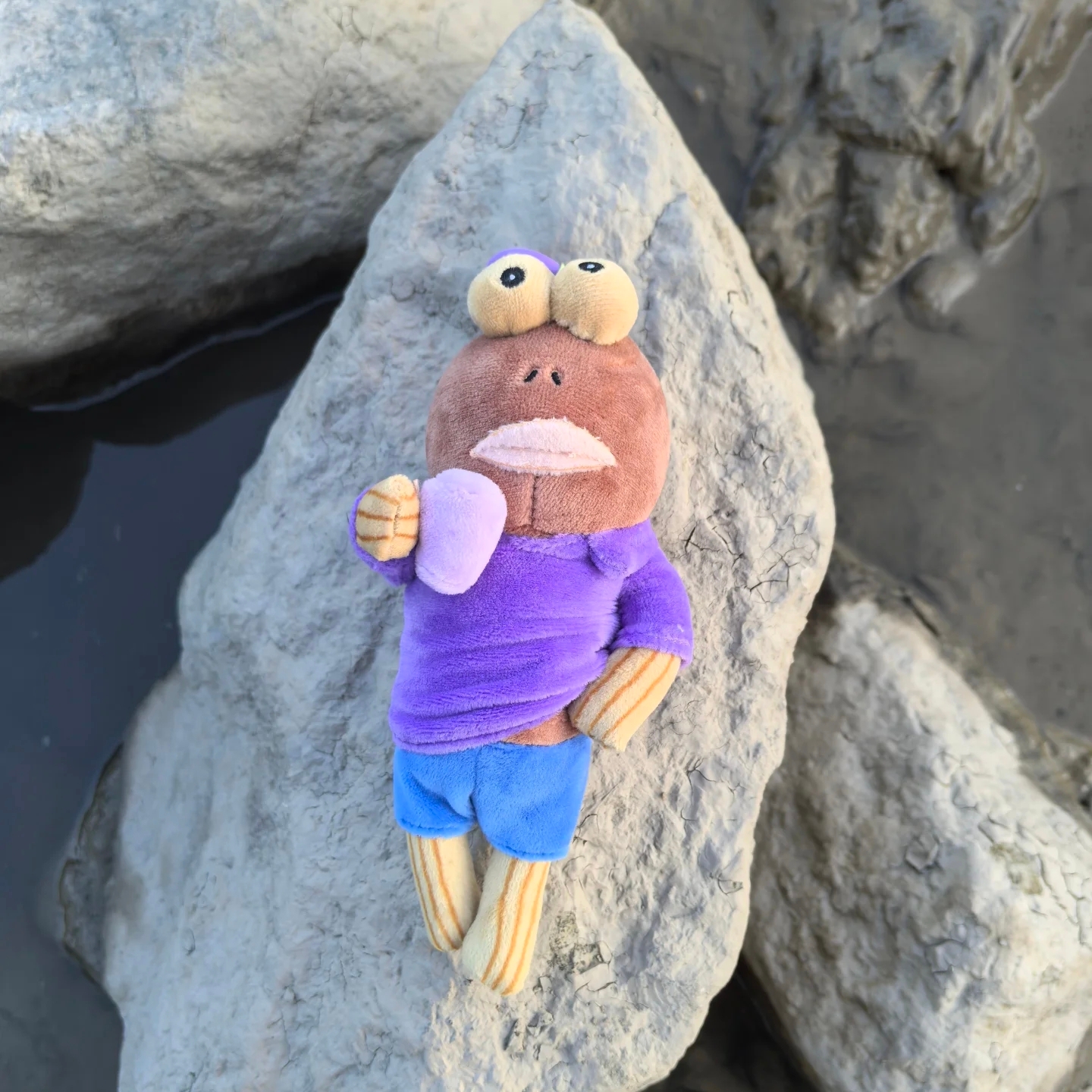 Pop Mart Bikini Bottom Buddies Whimsical Plush (6 Blind Boxes) 착용 스타일 - 3