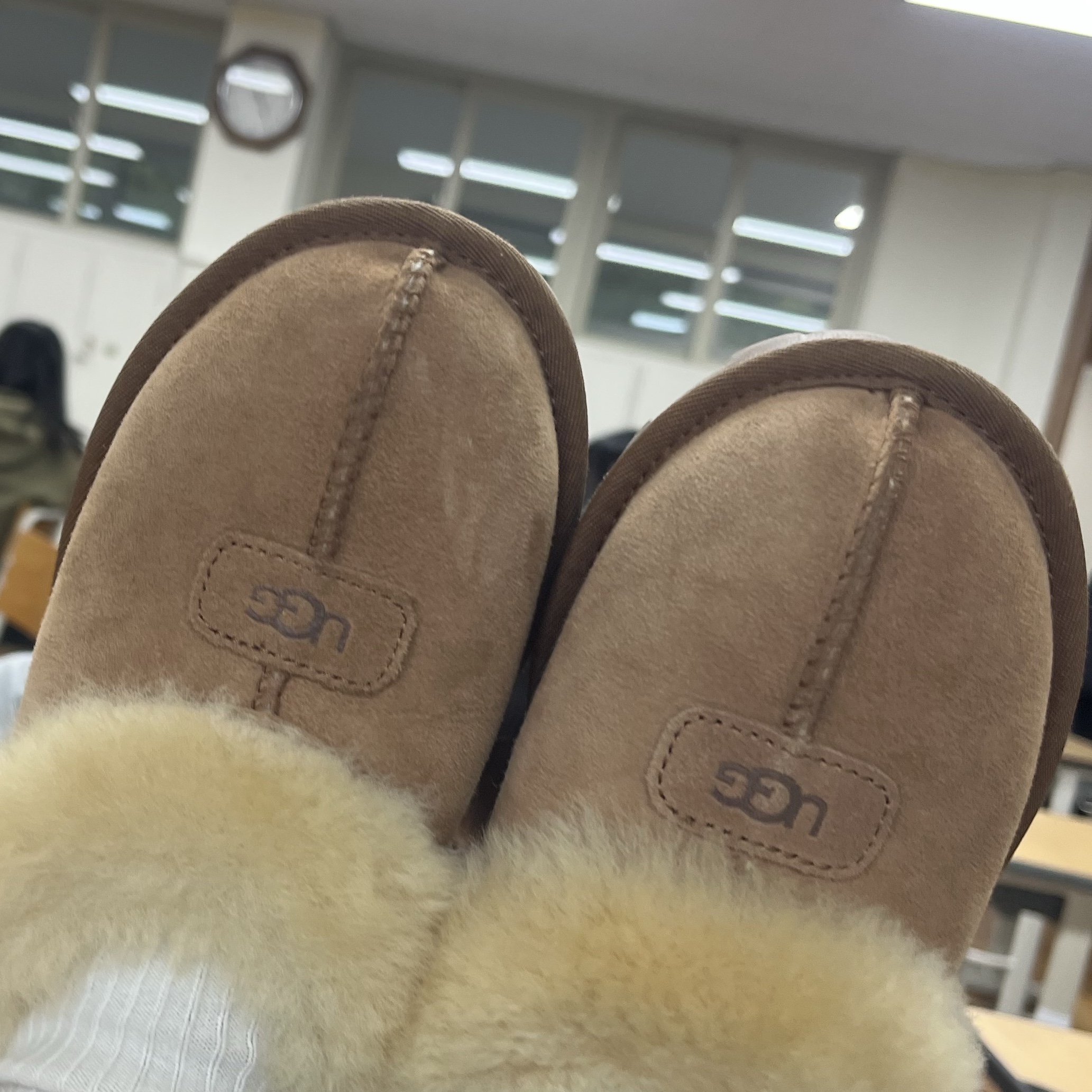 (W) UGG Coquette Slipper Chestnut 착용 스타일