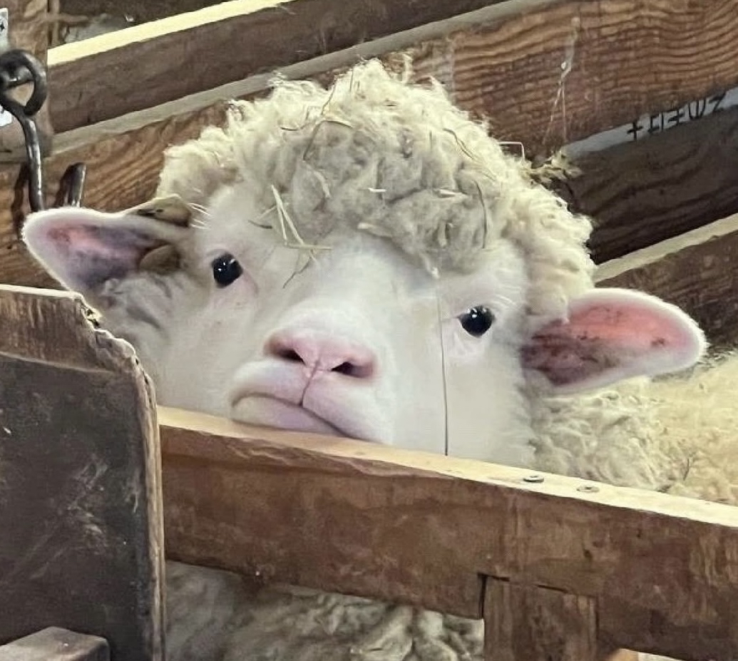 관심 유저 프로필 이미지