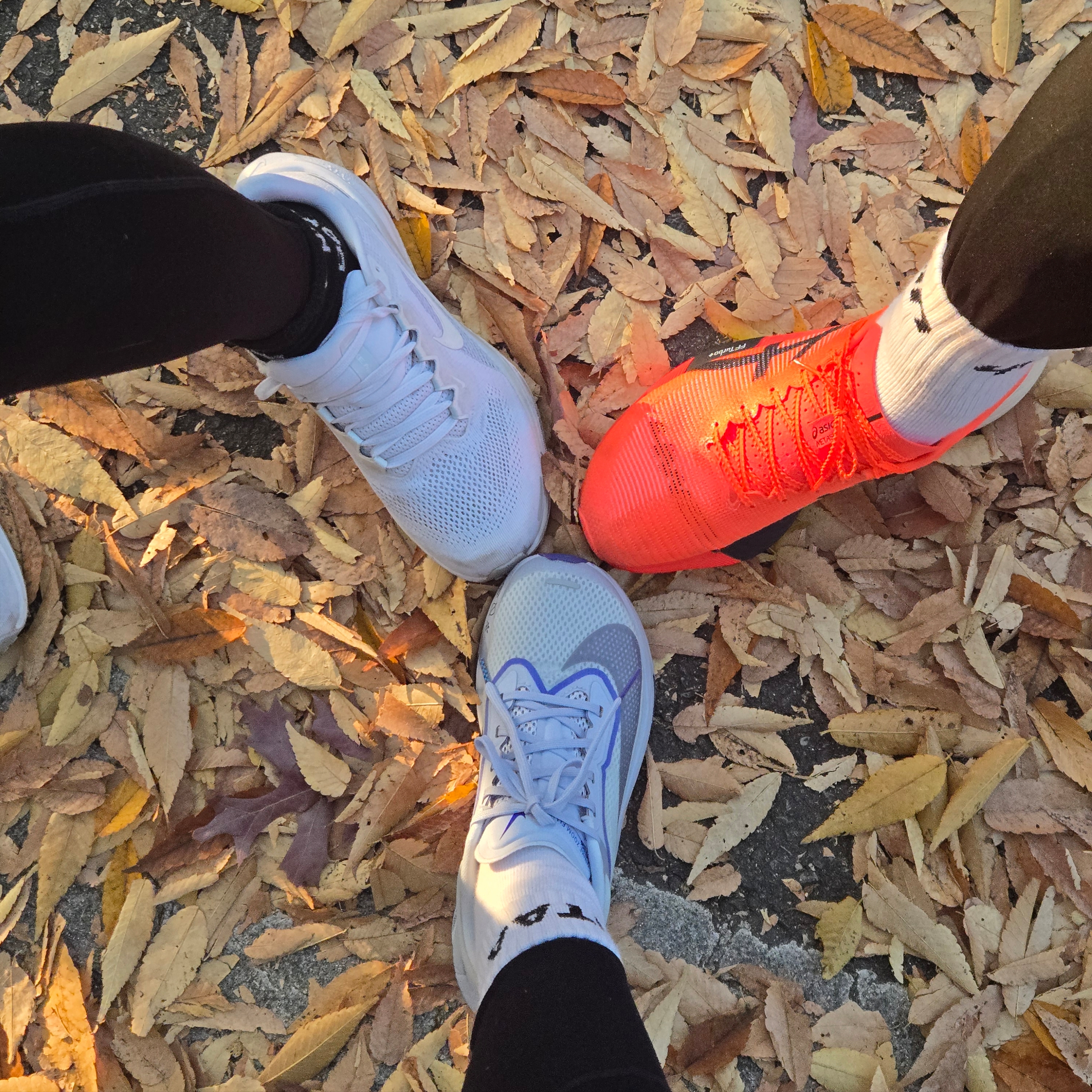 (W) Nike Zoom Fly 6 Road Racing Ghost Football Grey, Asics Metaspeed Sky Paris Sunrise Red Black 착용 스타일