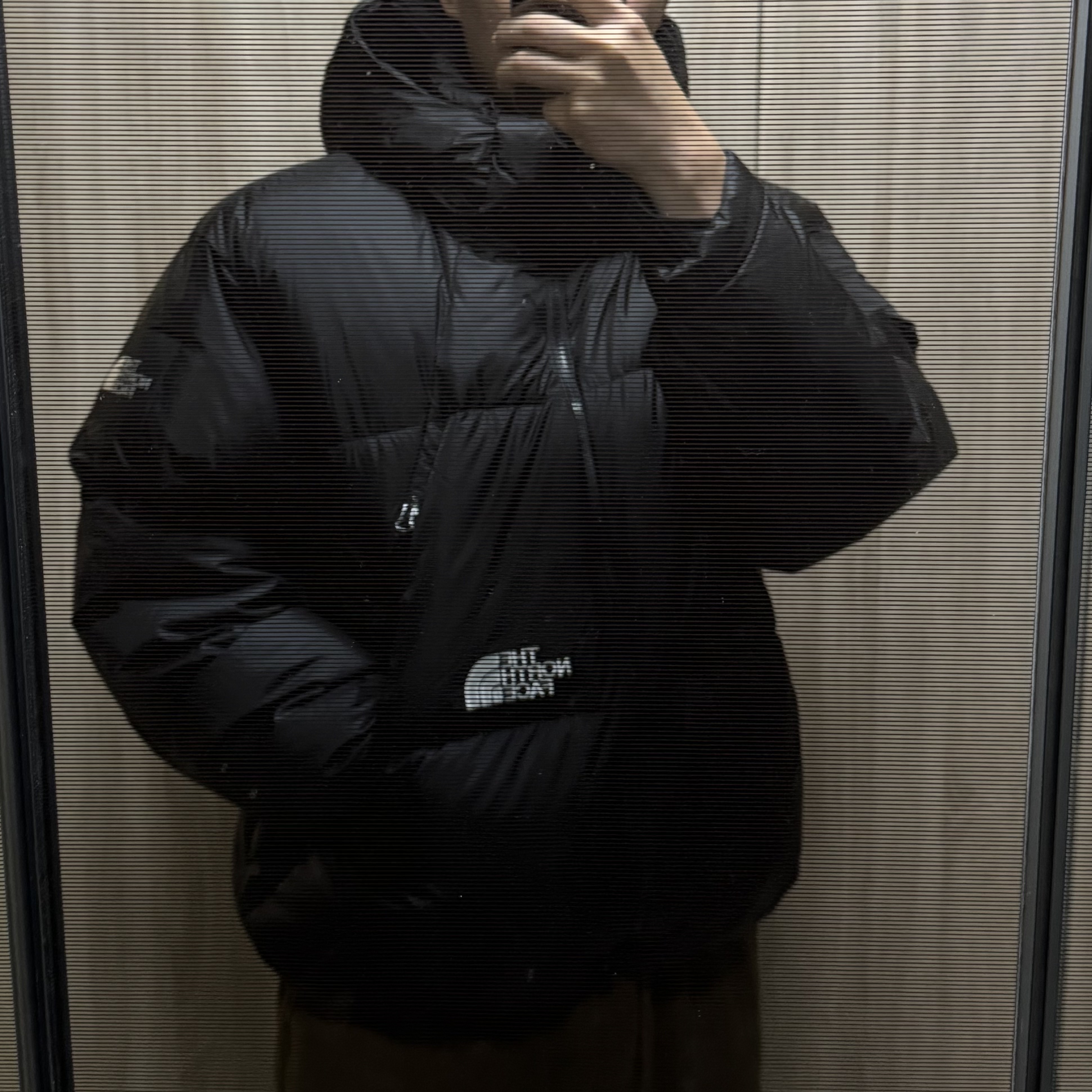 The North Face White Label Project Down Jacket RDS Black - 25FW 착용 스타일 - 1