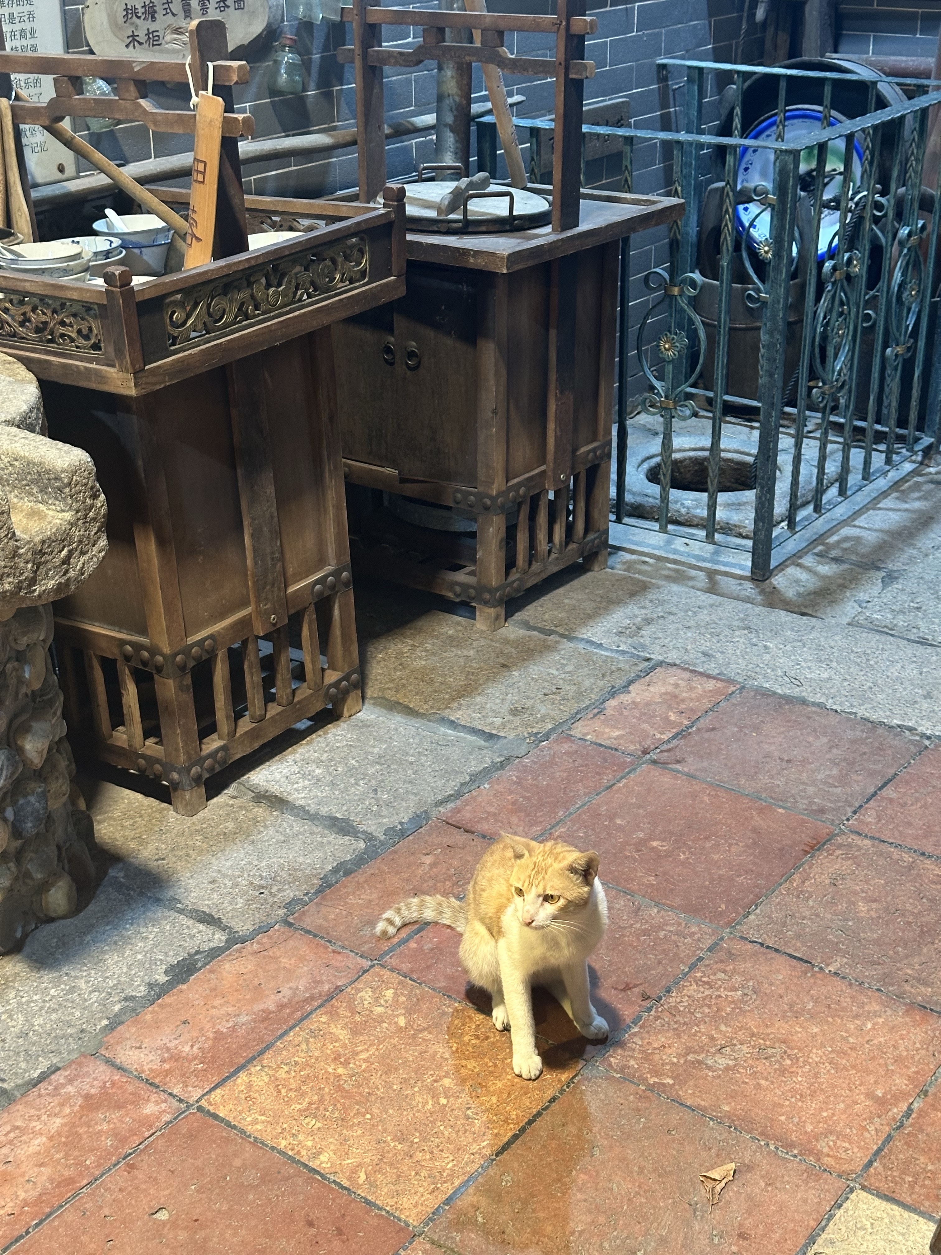 BAPE Baby Milo MagSafe Card Holder Black, Chrome Hearts Silichrome CH Cross Pendant Black 2022/2023/2025 착용 스타일 - 3