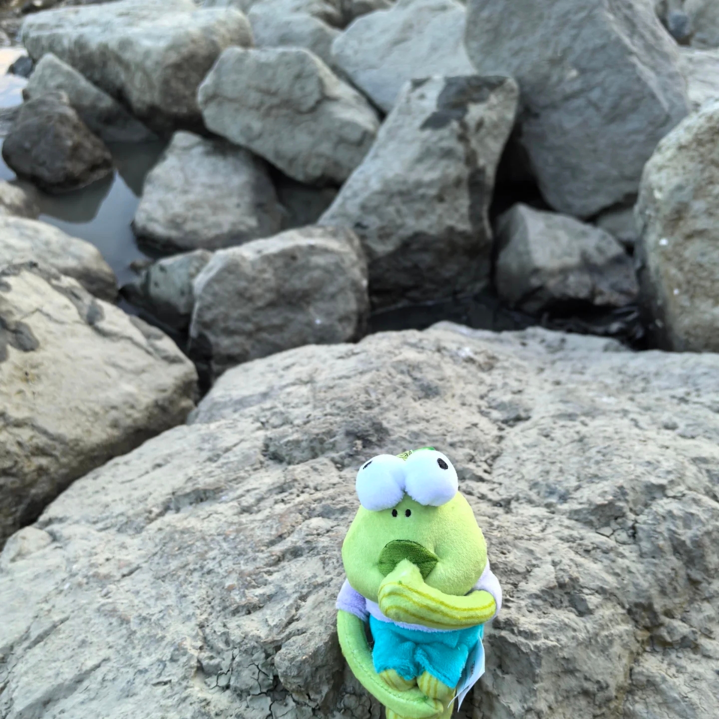 Pop Mart Bikini Bottom Buddies Whimsical Plush (6 Blind Boxes) 착용 스타일 - 5