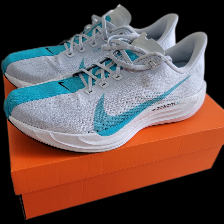 Nike Pegasus Plus Pure Platinum White 착용 스타일