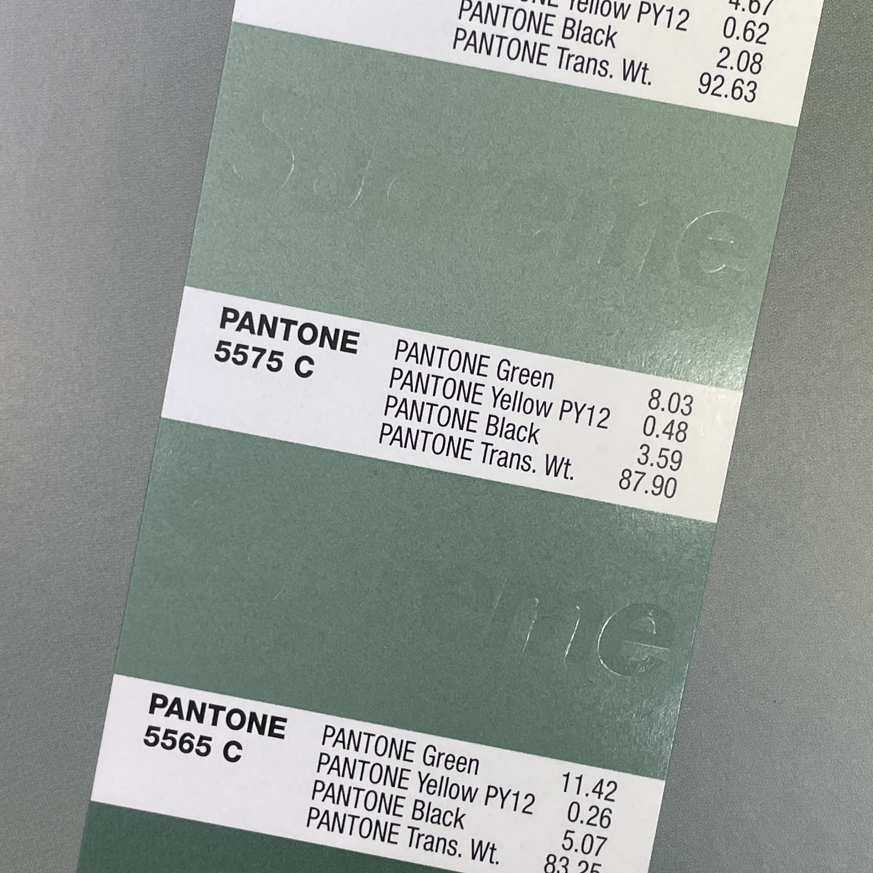 Supreme x Pantone Formula Guide White - 24FW 착용 스타일