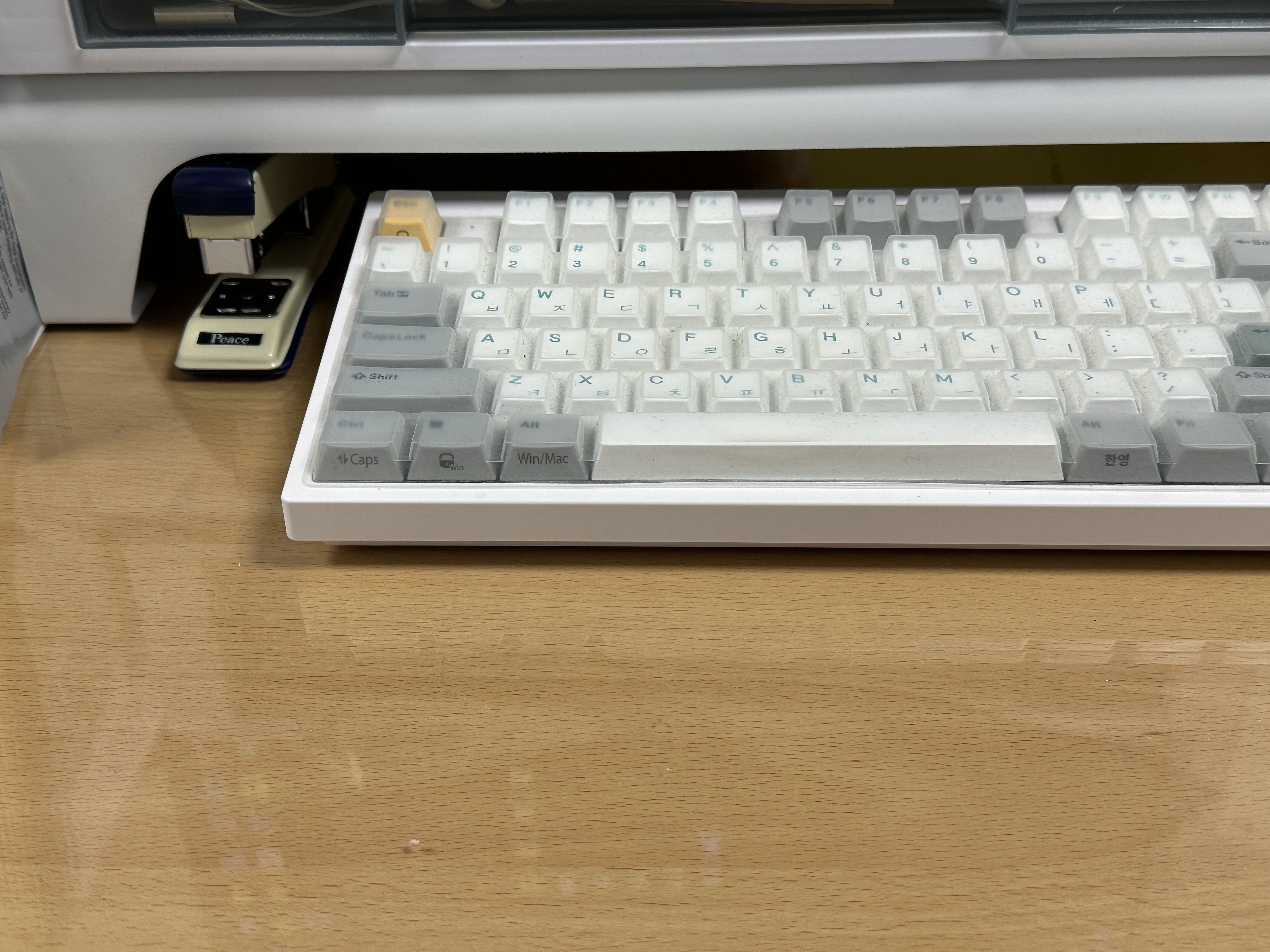 XENICS TITAN T1 Steel Monitor Stand White 착용 스타일