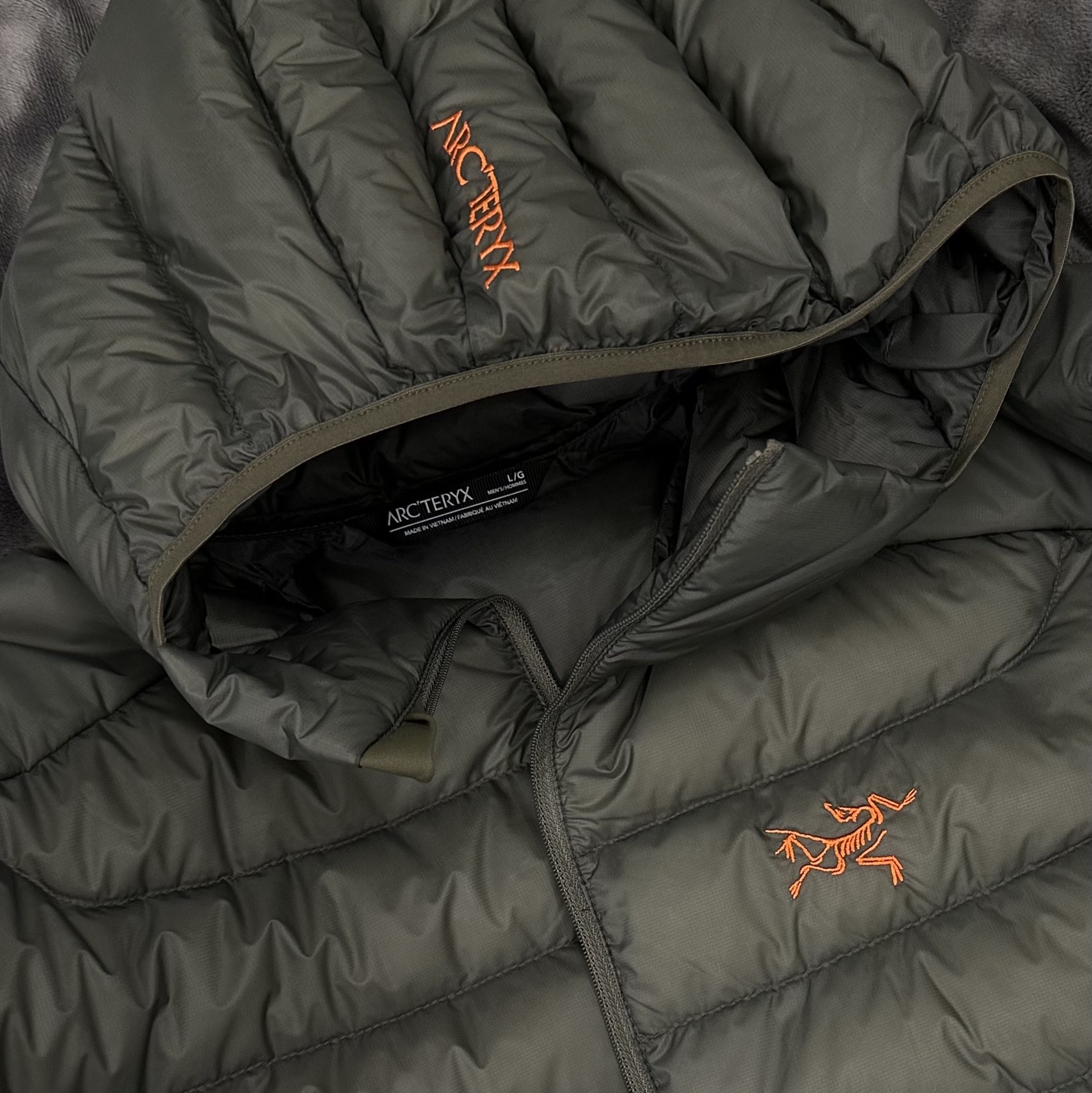 Arc'teryx Cerium Hoody Forage Verve 착용 스타일