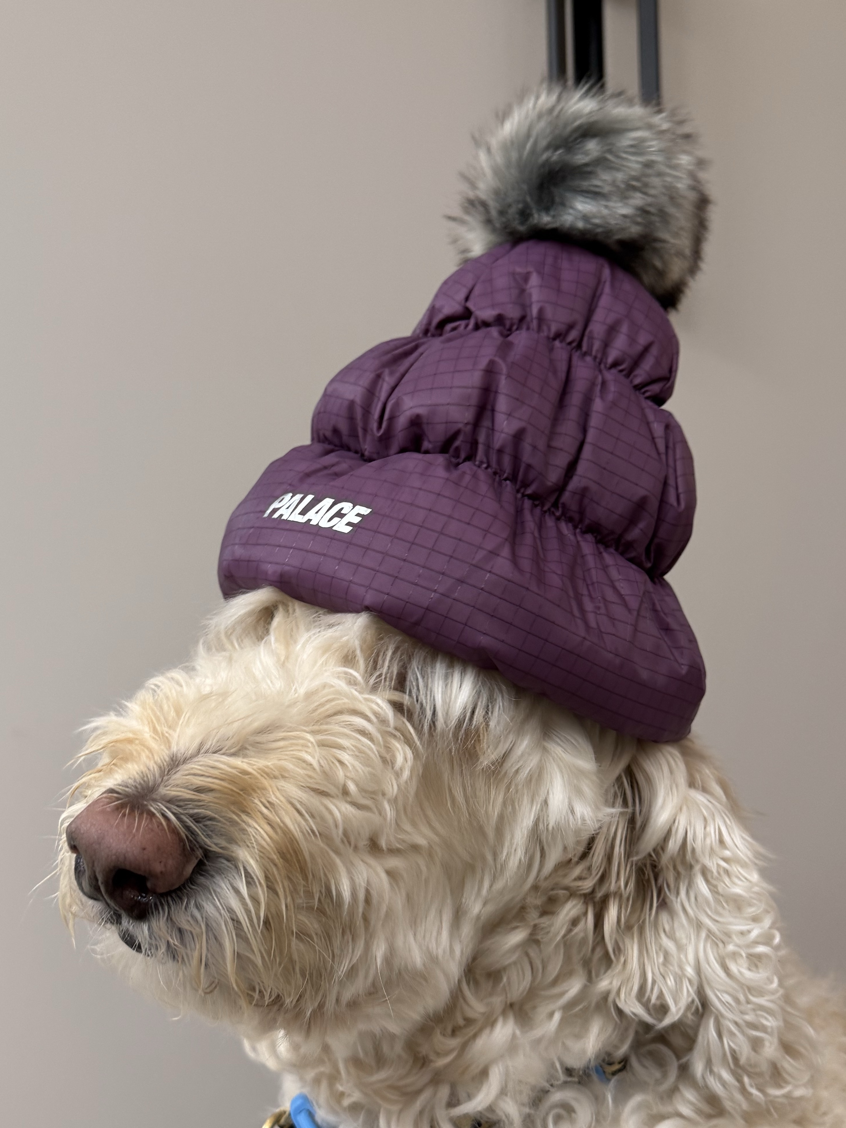 μμ
μ΄λ―Έμ§