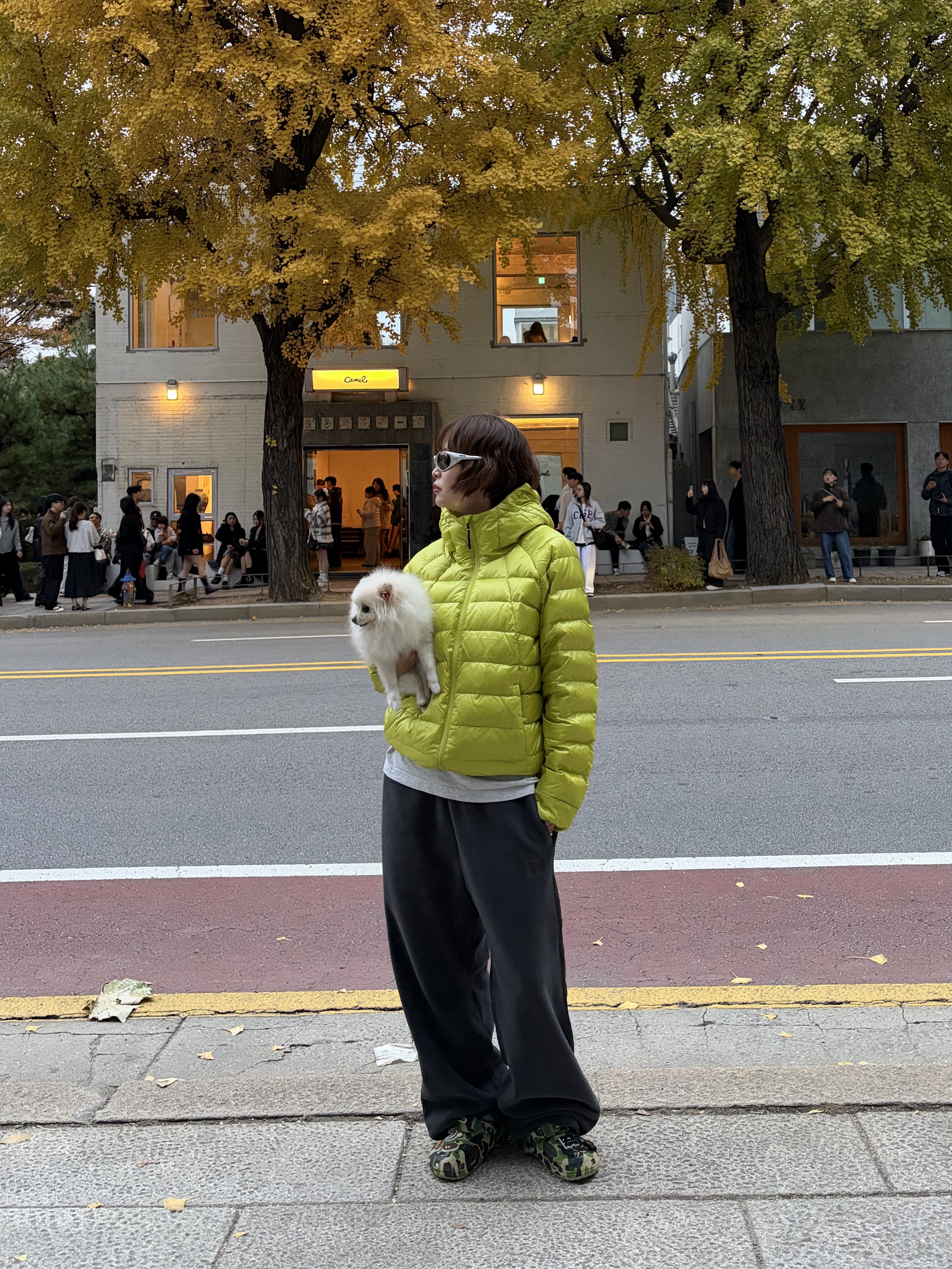 Musinsa Standard Iron Light Down Jacket Yellow Green, Oakley Eye Jacket Redux Silver Frame Prizm Black Polarized Lenses High Bridge Fit 착용 스타일 - 1