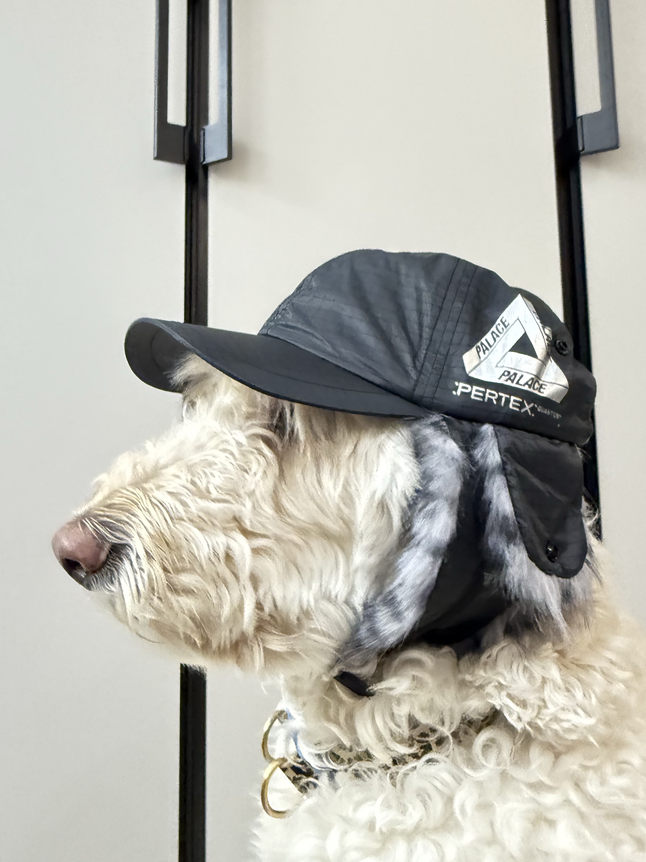 μμ
μ΄λ―Έμ§