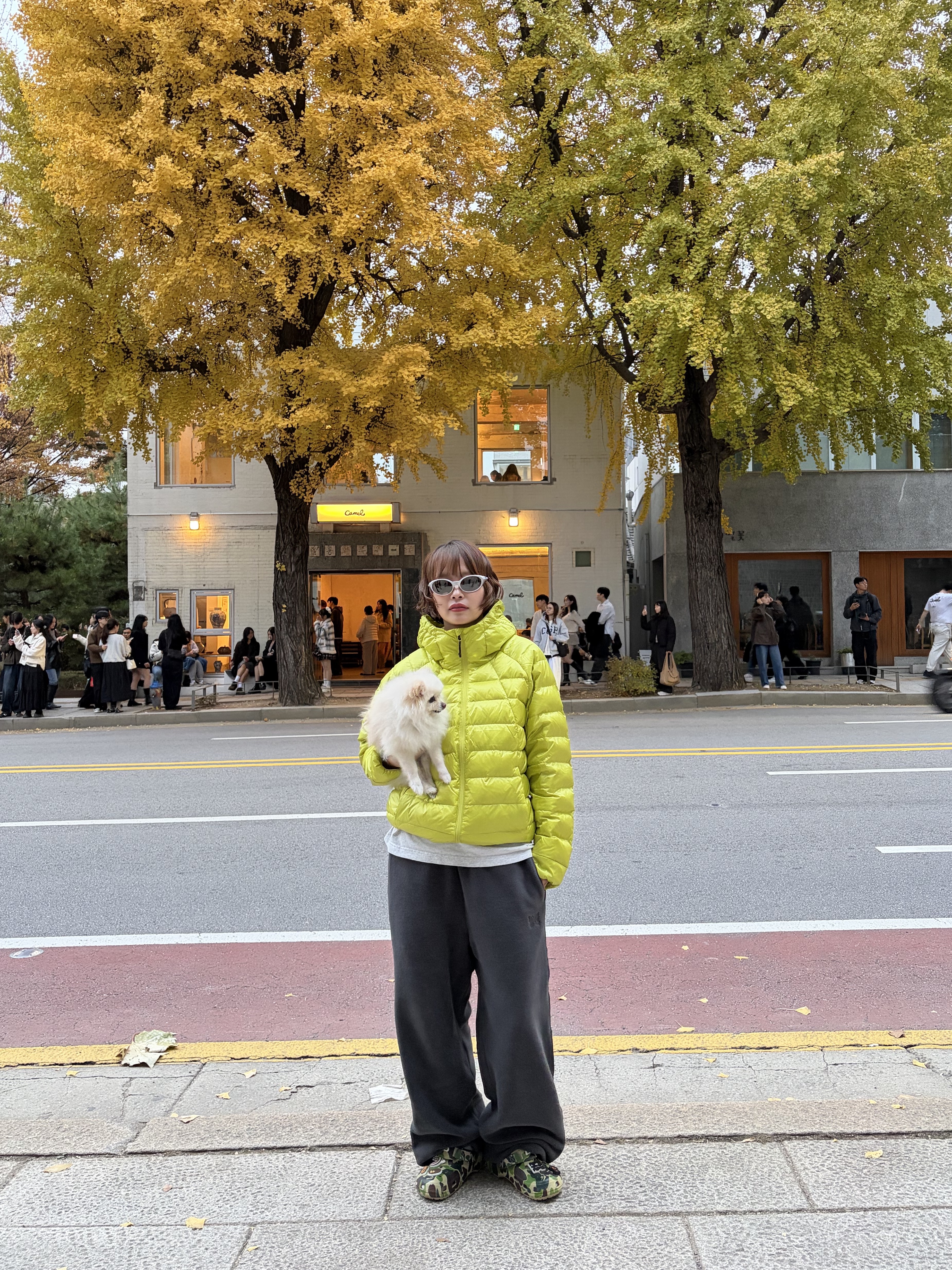 Musinsa Standard Iron Light Down Jacket Yellow Green, Oakley Eye Jacket Redux Silver Frame Prizm Black Polarized Lenses High Bridge Fit 착용 스타일 - 2