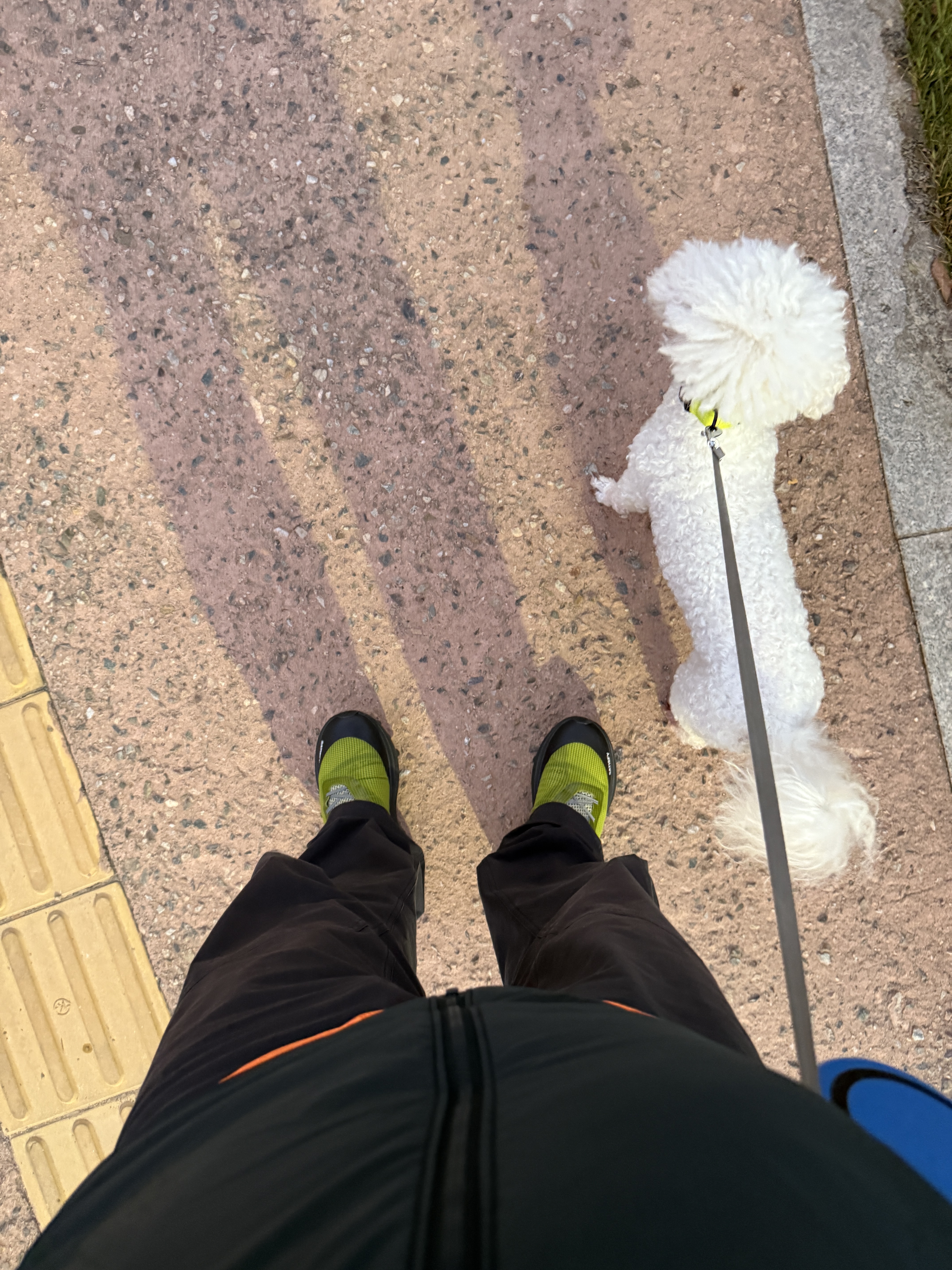 너구리님의 스타일